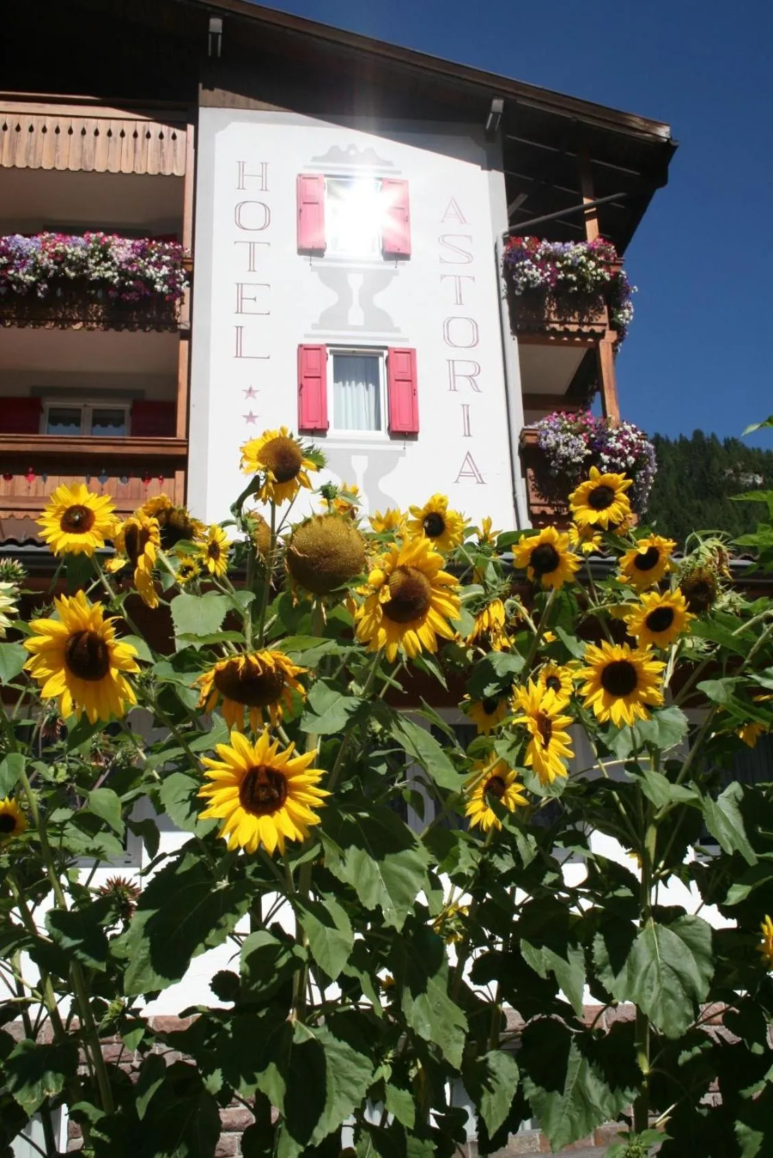 Facade/entrance in Hotel Astoria