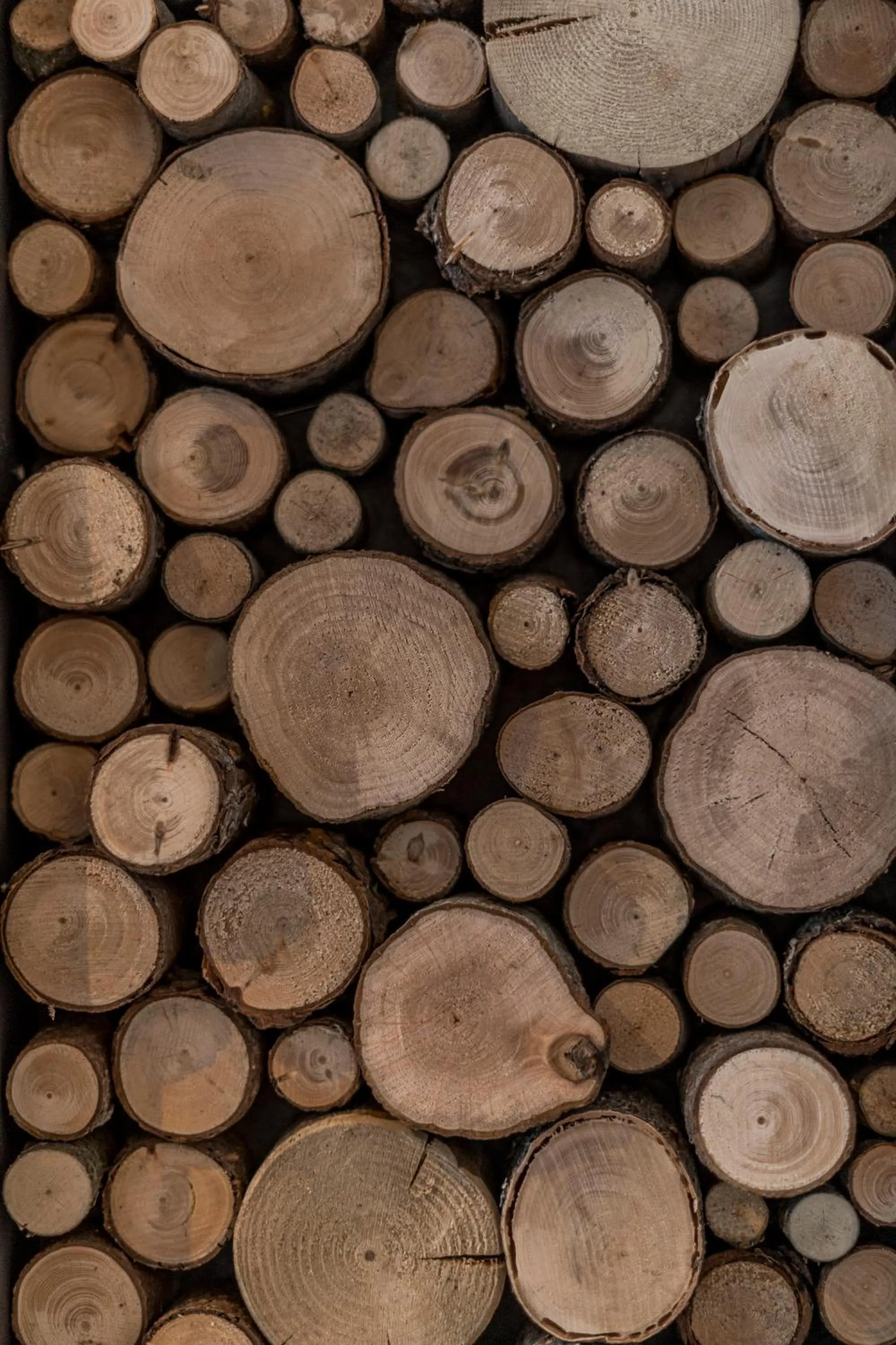 Decorative detail in Hotel Astoria