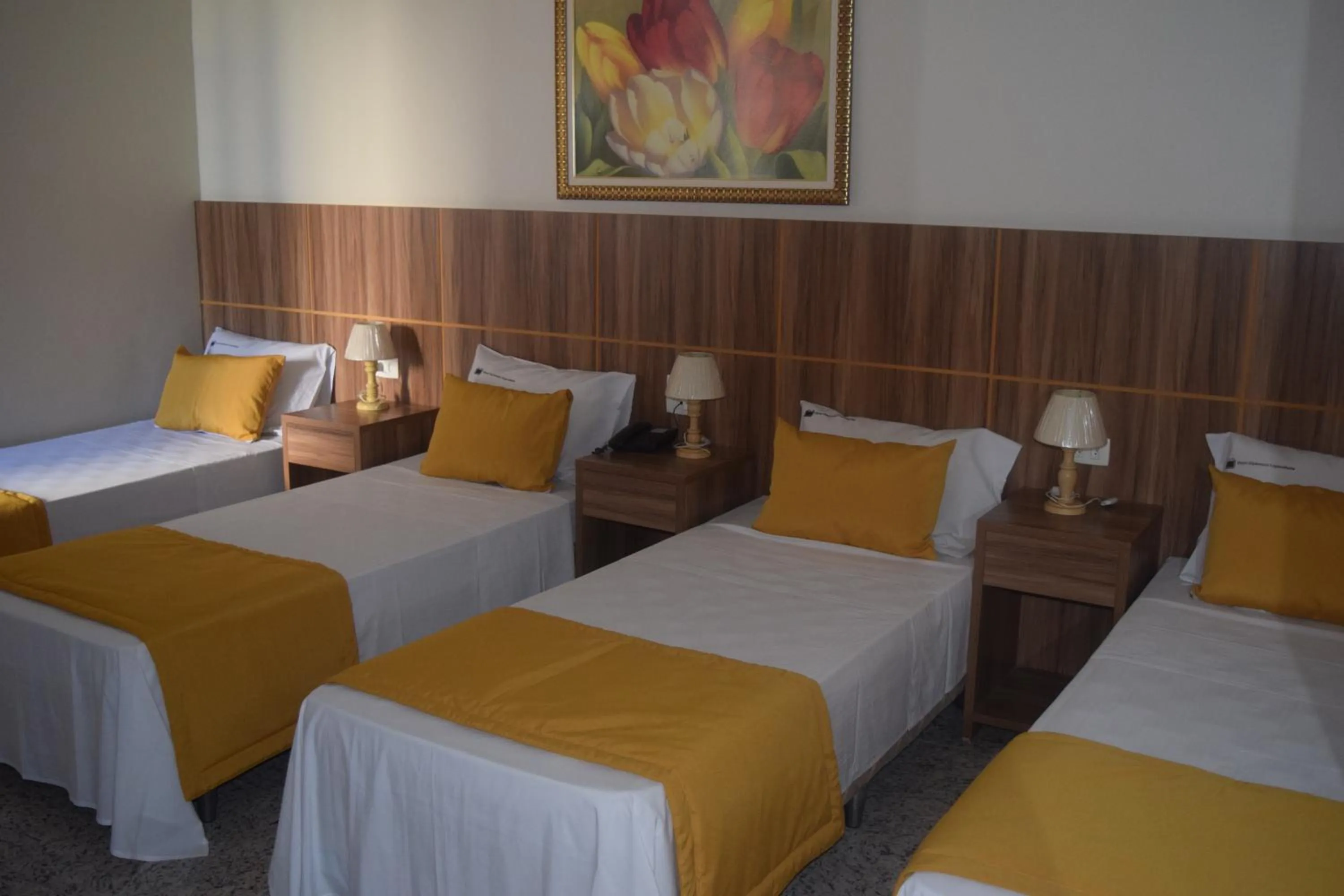 Photo of the whole room, Bed in Hotel Diplomata Copacabana