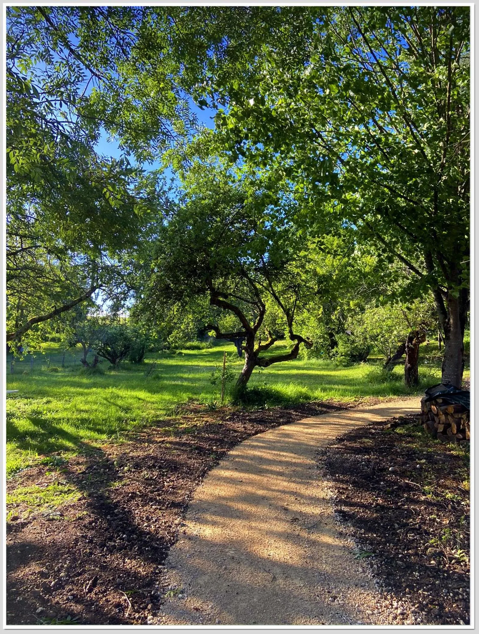 Spring in Chez Flo et Marc