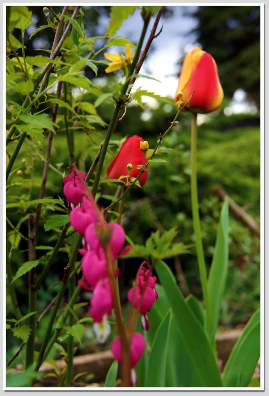 Garden view in Chez Flo et Marc