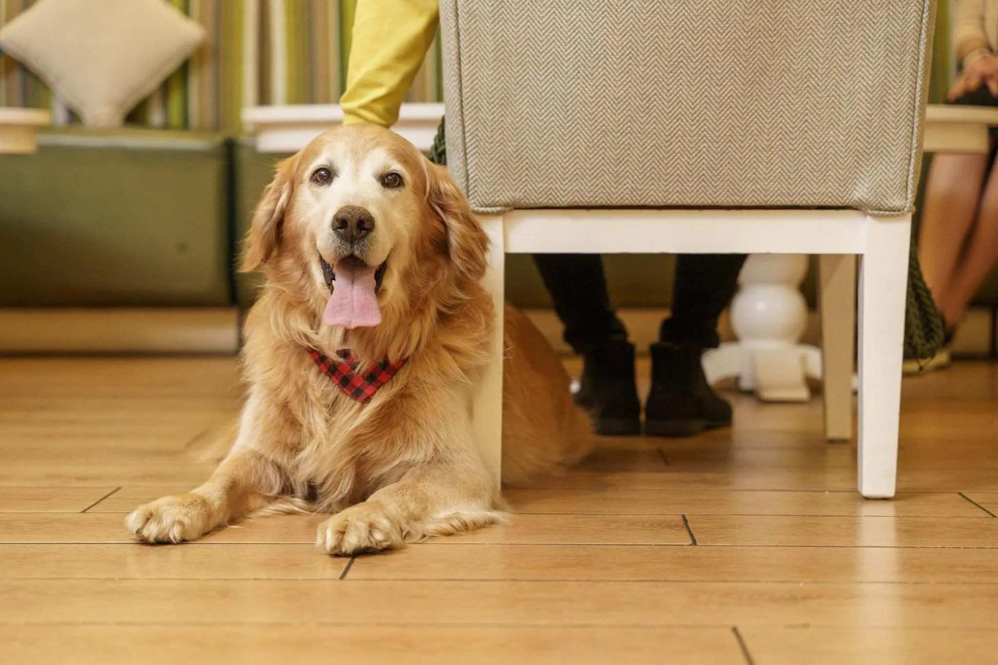 Restaurant/places to eat in Intercontinental Real Guatemala by IHG