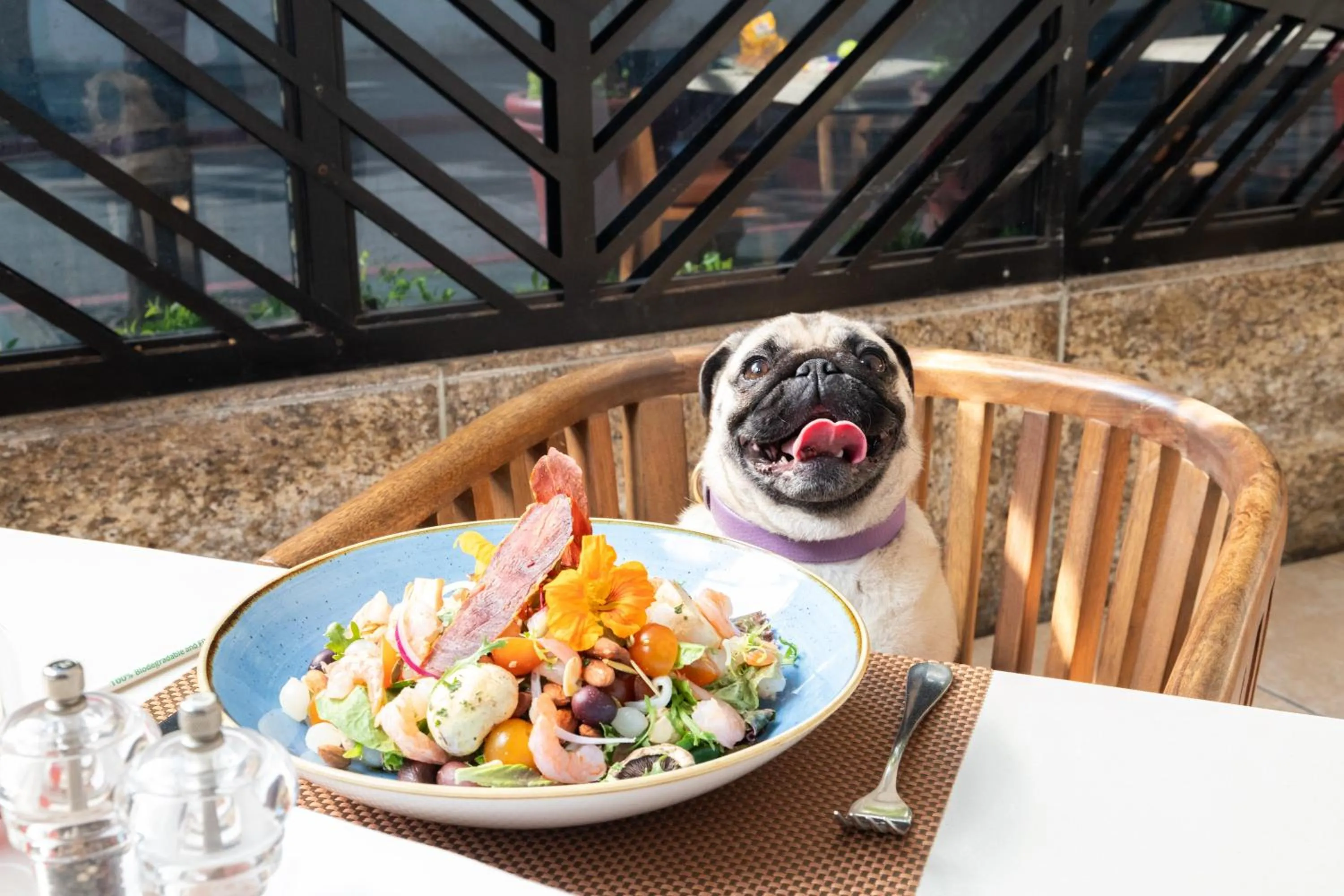 Restaurant/places to eat in Intercontinental Real Guatemala by IHG