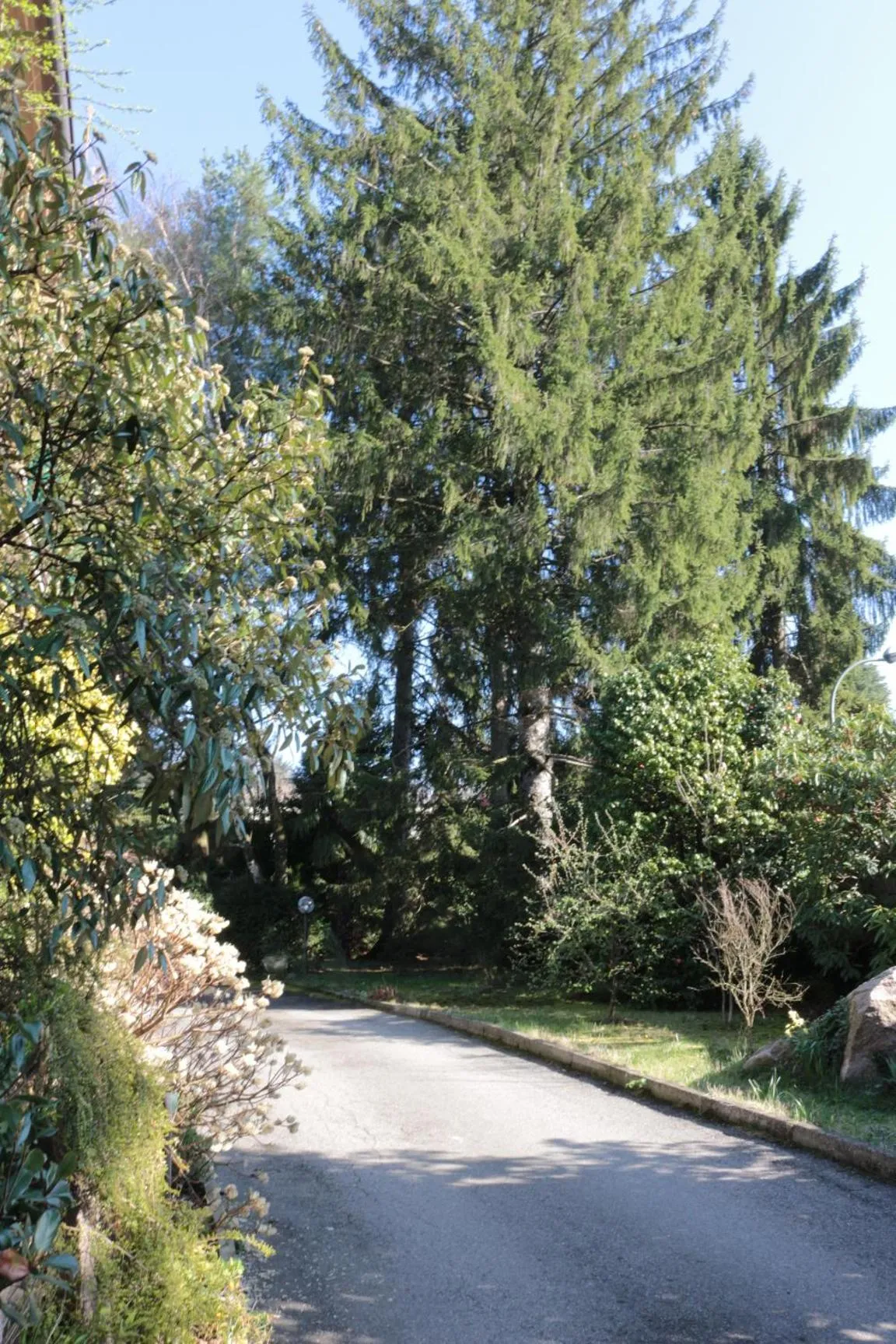 Garden in Paradeisos Residence Sas