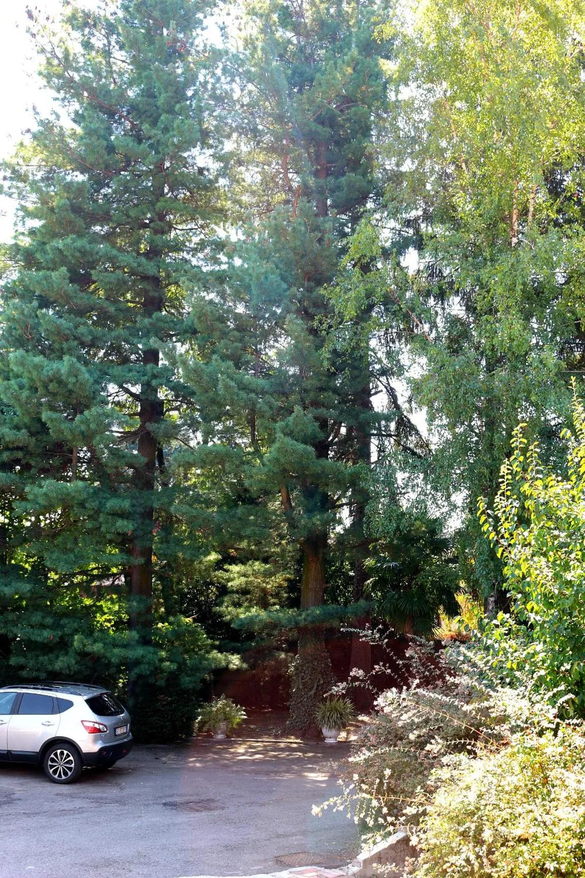 Garden in Paradeisos Residence Sas