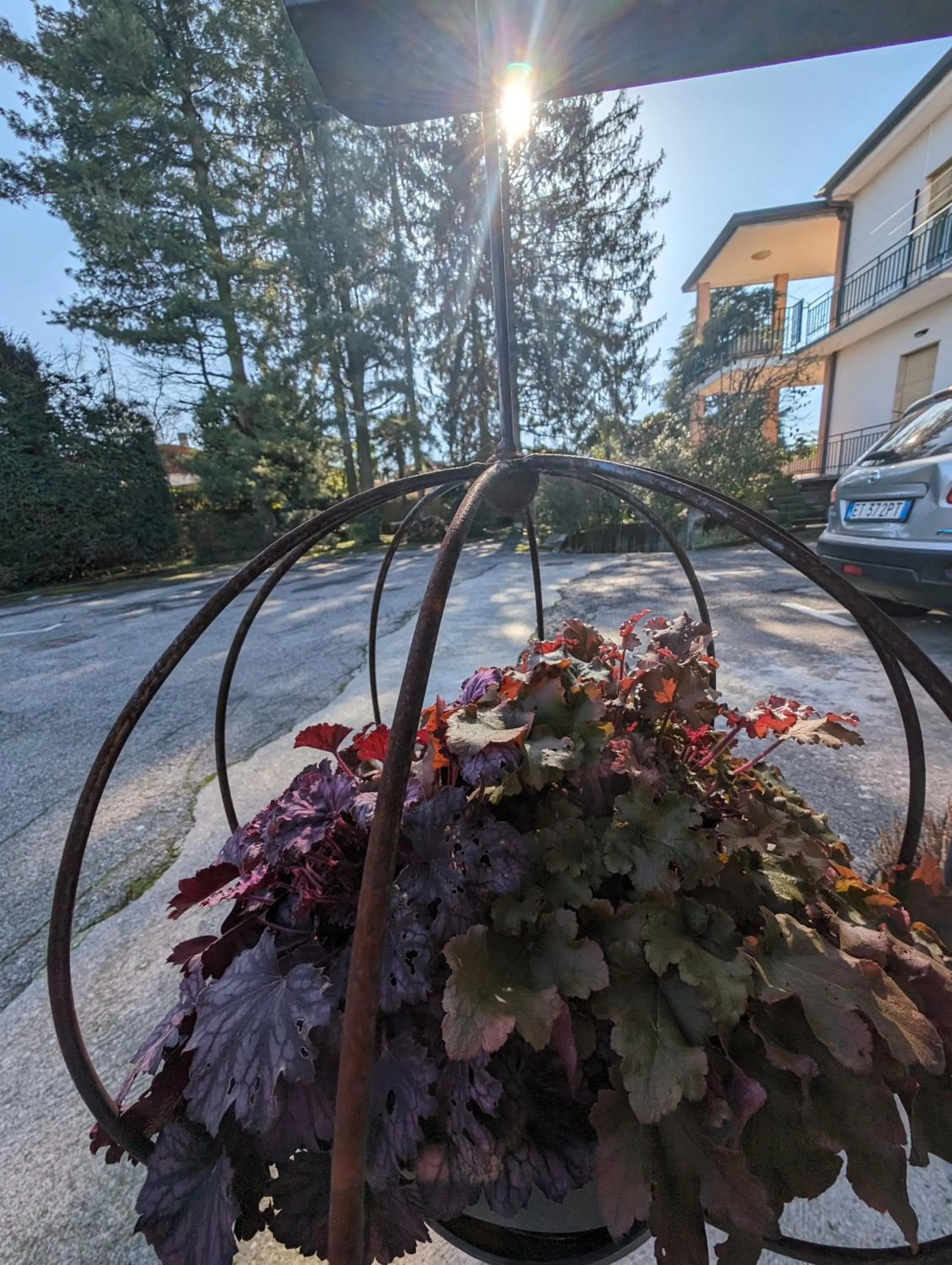 Garden in Paradeisos Residence Sas