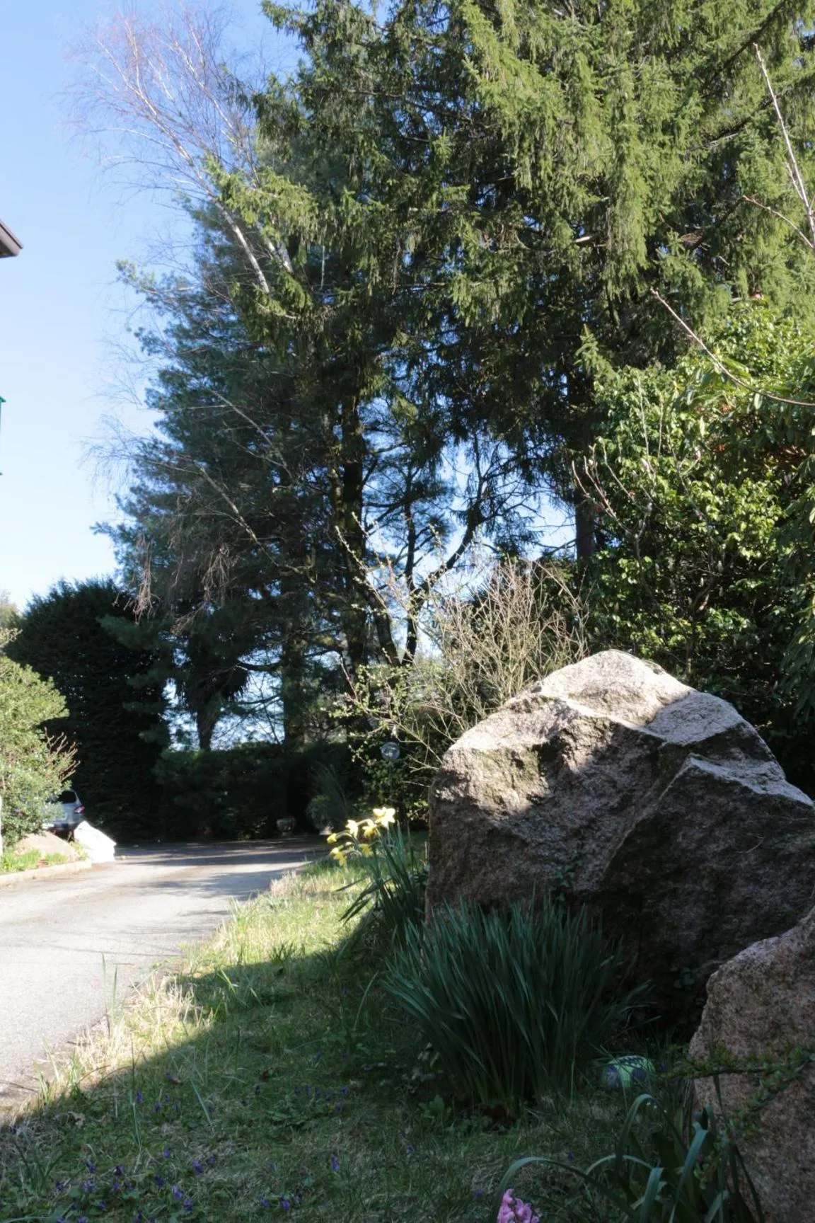 Garden in Paradeisos Residence Sas