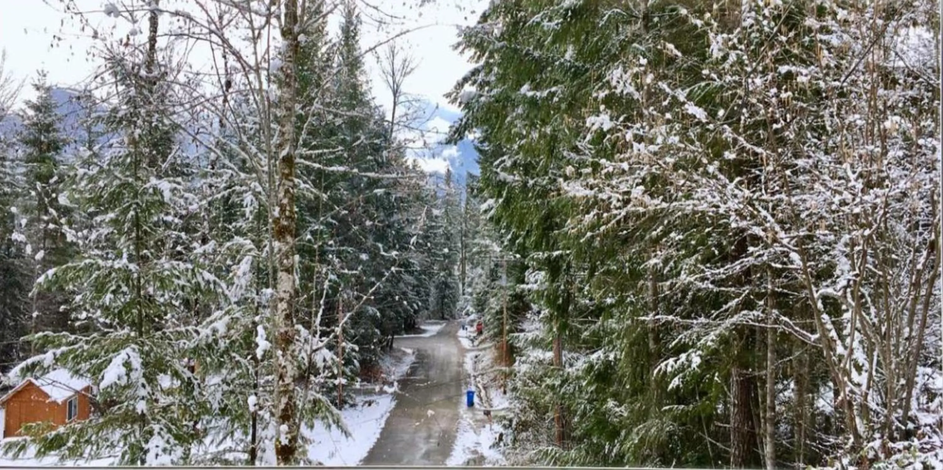 Quiet street view in Packwood Ski & Vacation Getaway