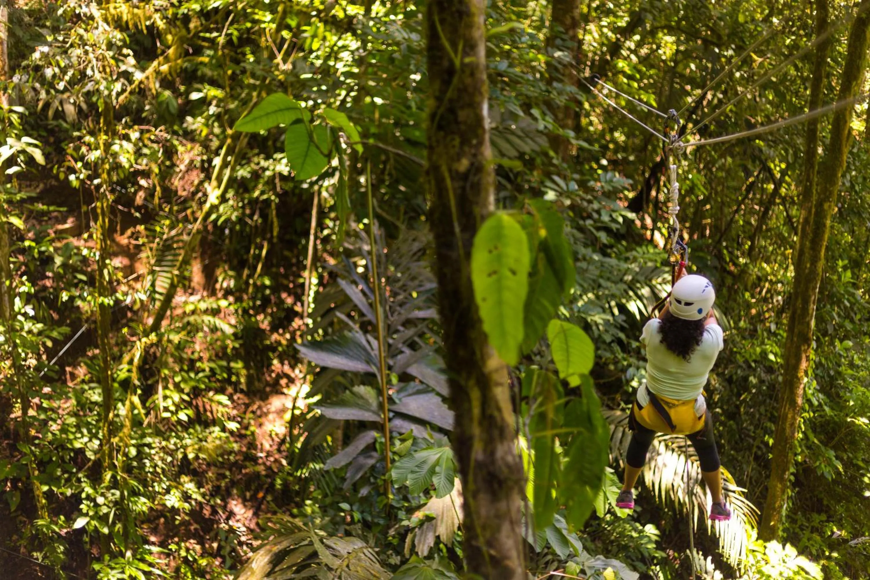 Activities in Pacuare Lodge by Böëna