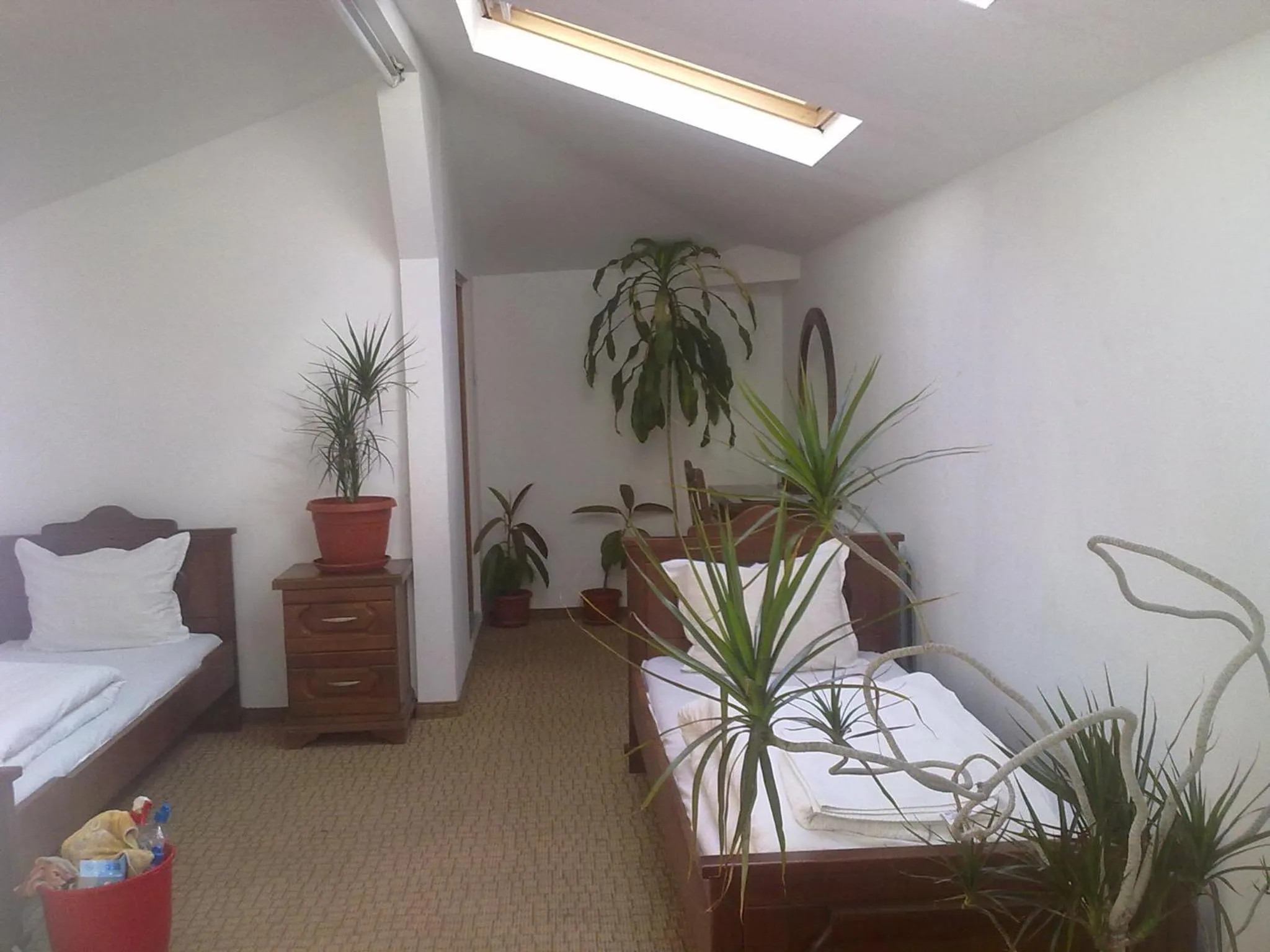 Bed in Guest House Todorini kashti