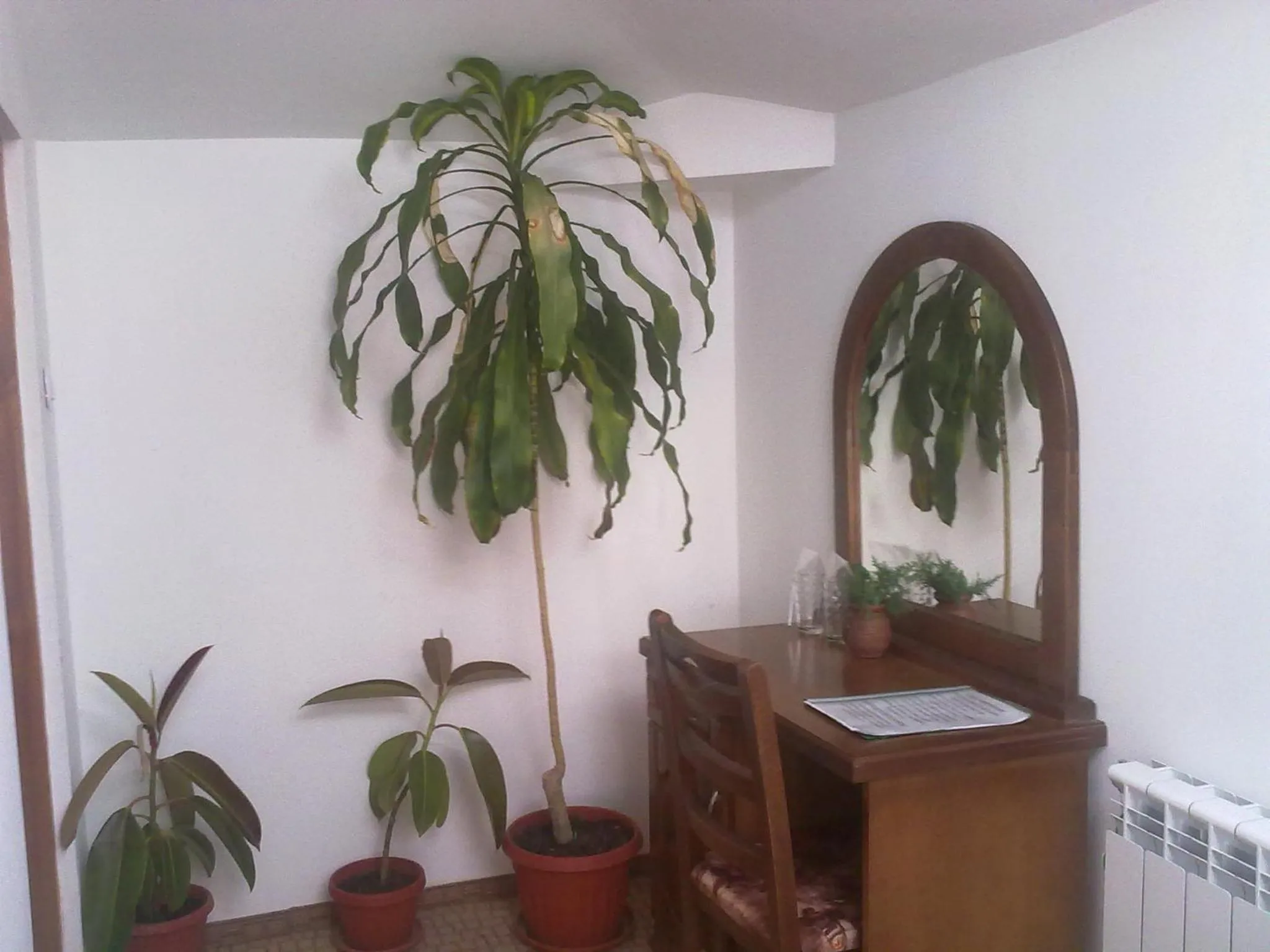 Guest House Todorini kashti