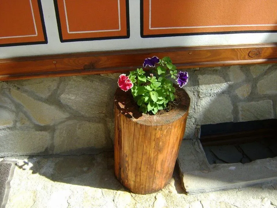 Guest House Todorini kashti