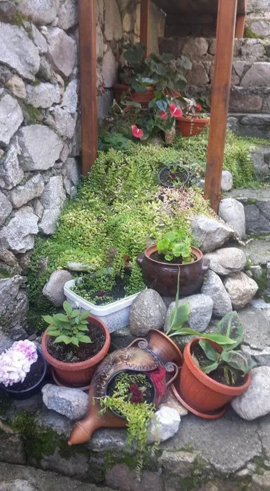 Guest House Todorini kashti