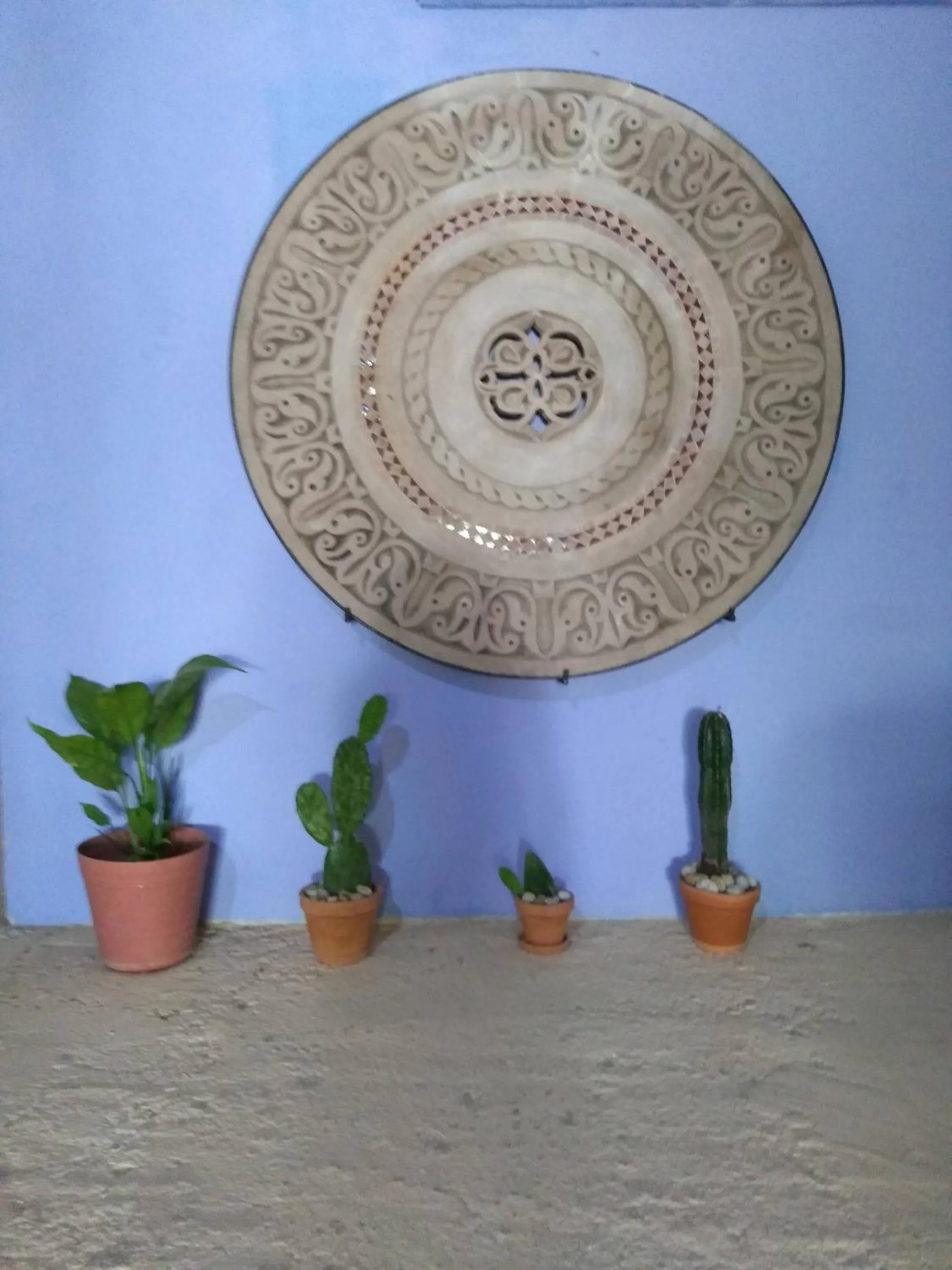 Lobby or reception in Lola Atlachinolli