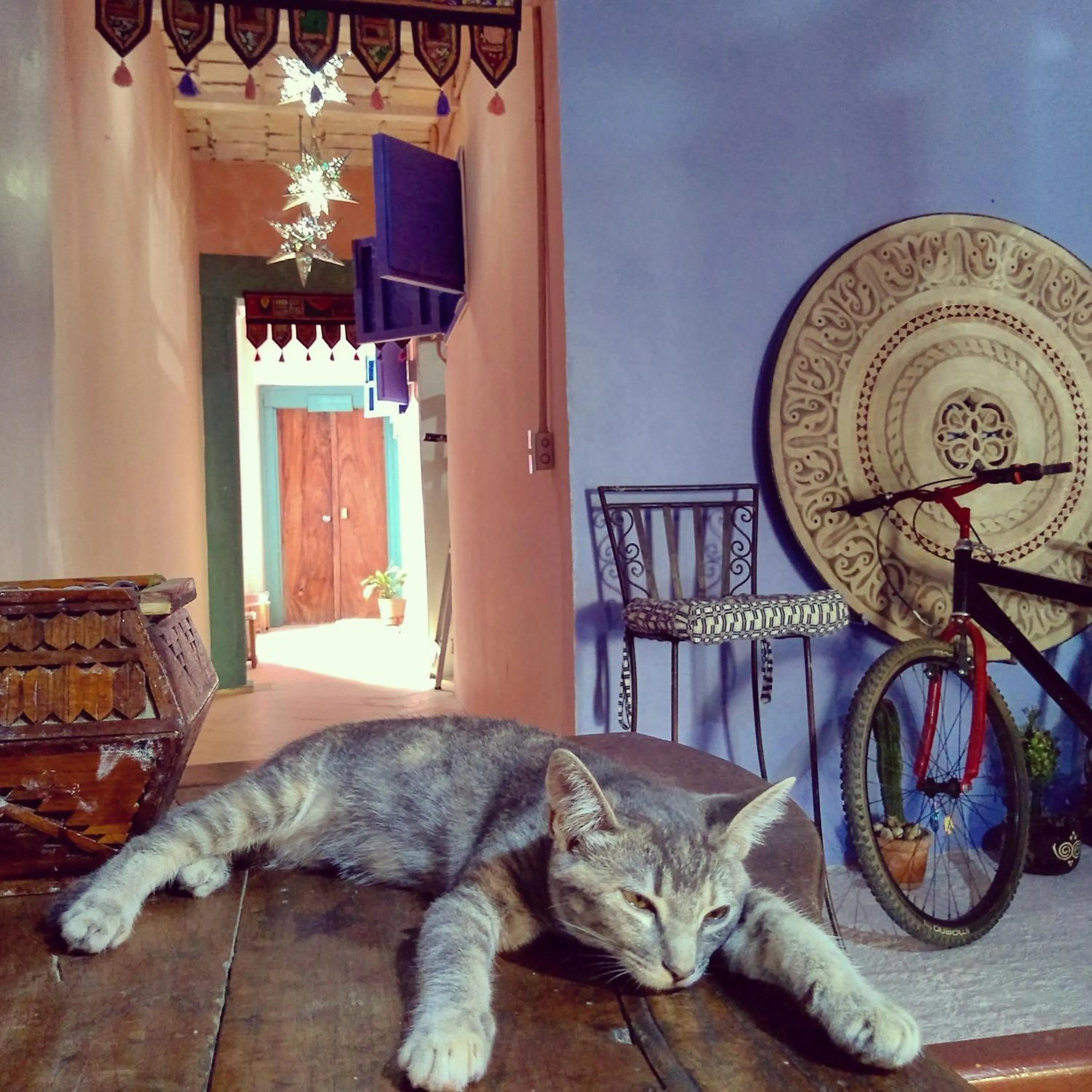 Lobby or reception in Lola Atlachinolli