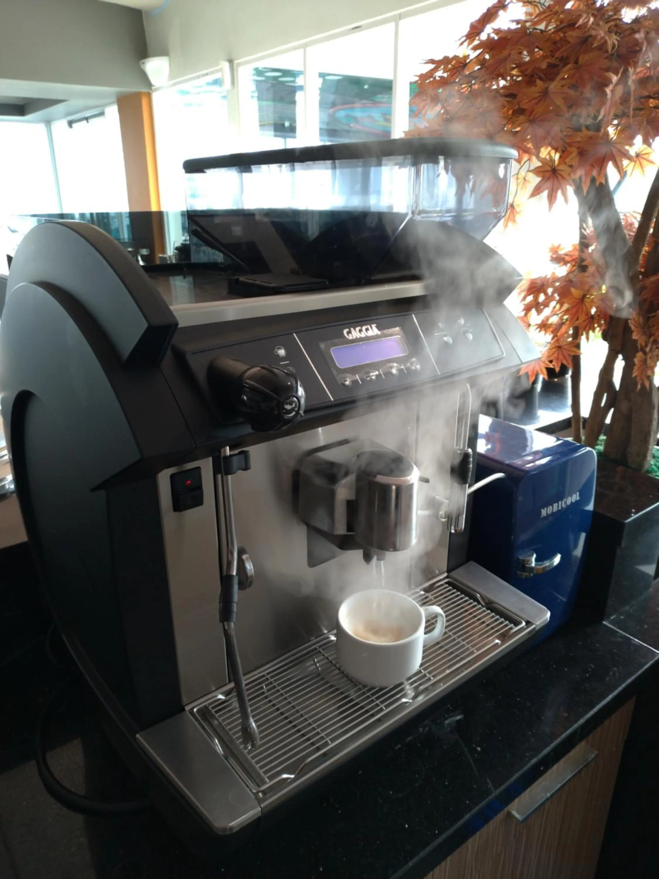 MaxOne Platinum Hayam Wuruk