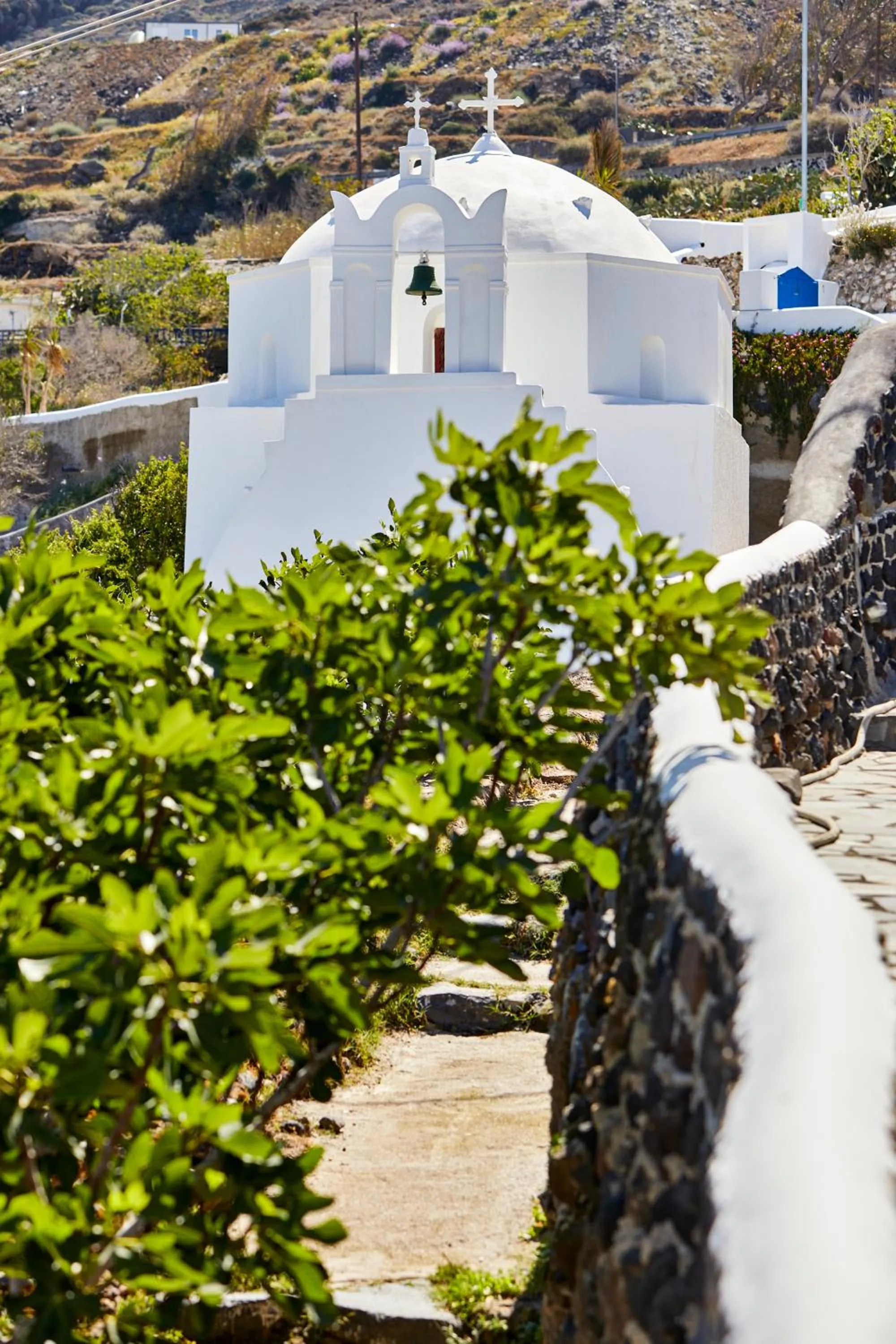 Day in Anchor Suites