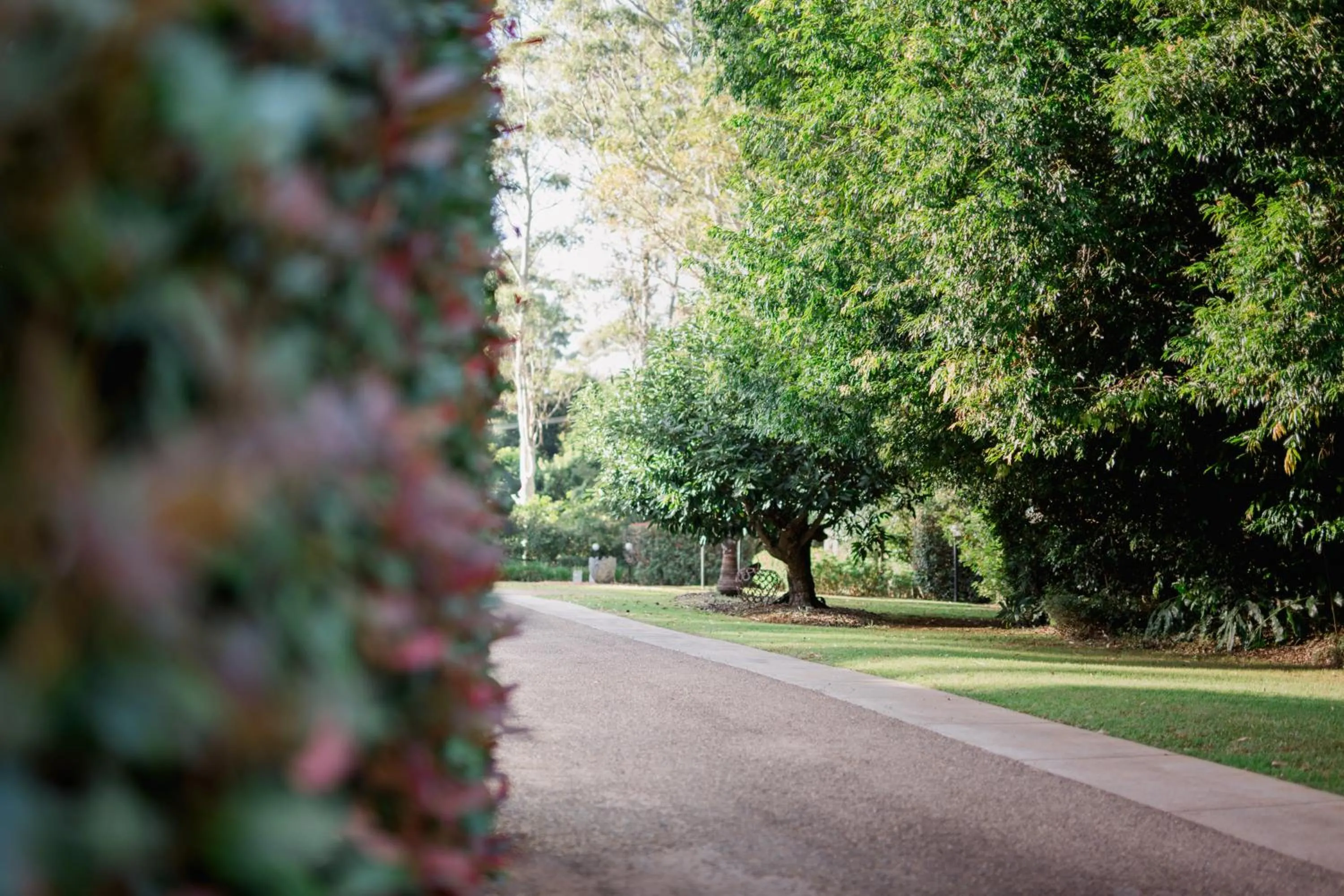 Garden in Shambala Estate Cottages