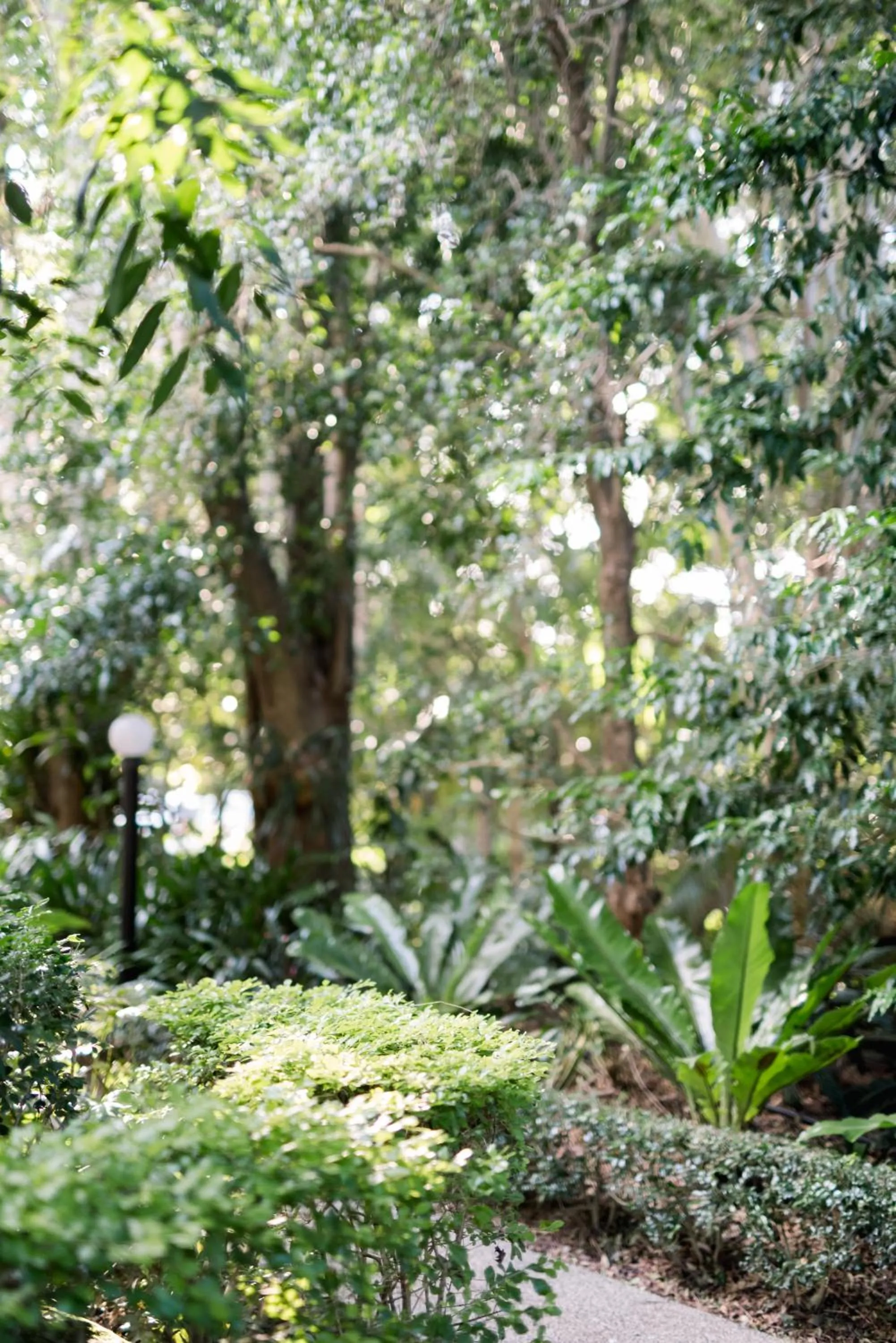 Natural landscape in Shambala Estate Cottages
