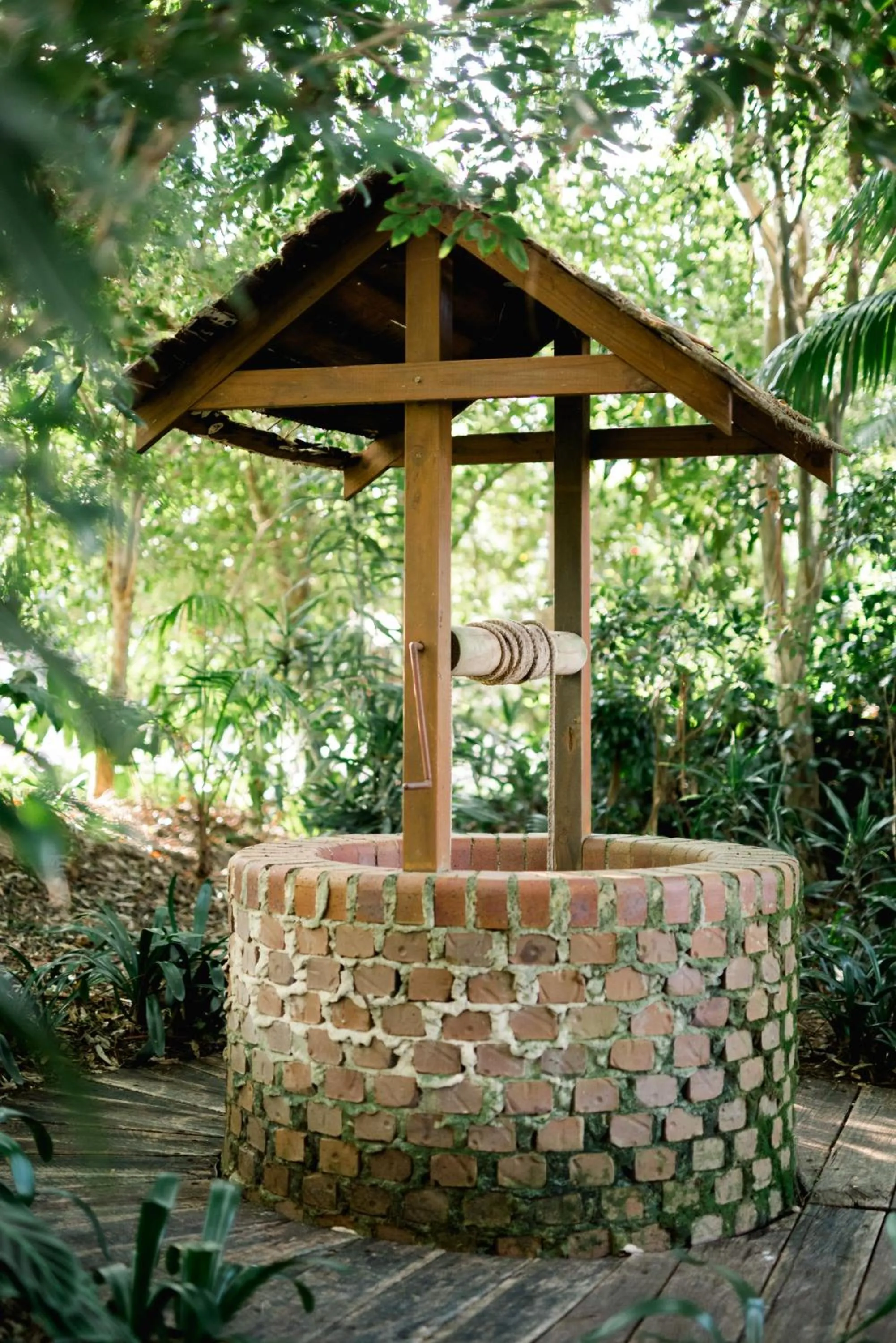 Garden in Shambala Estate Cottages