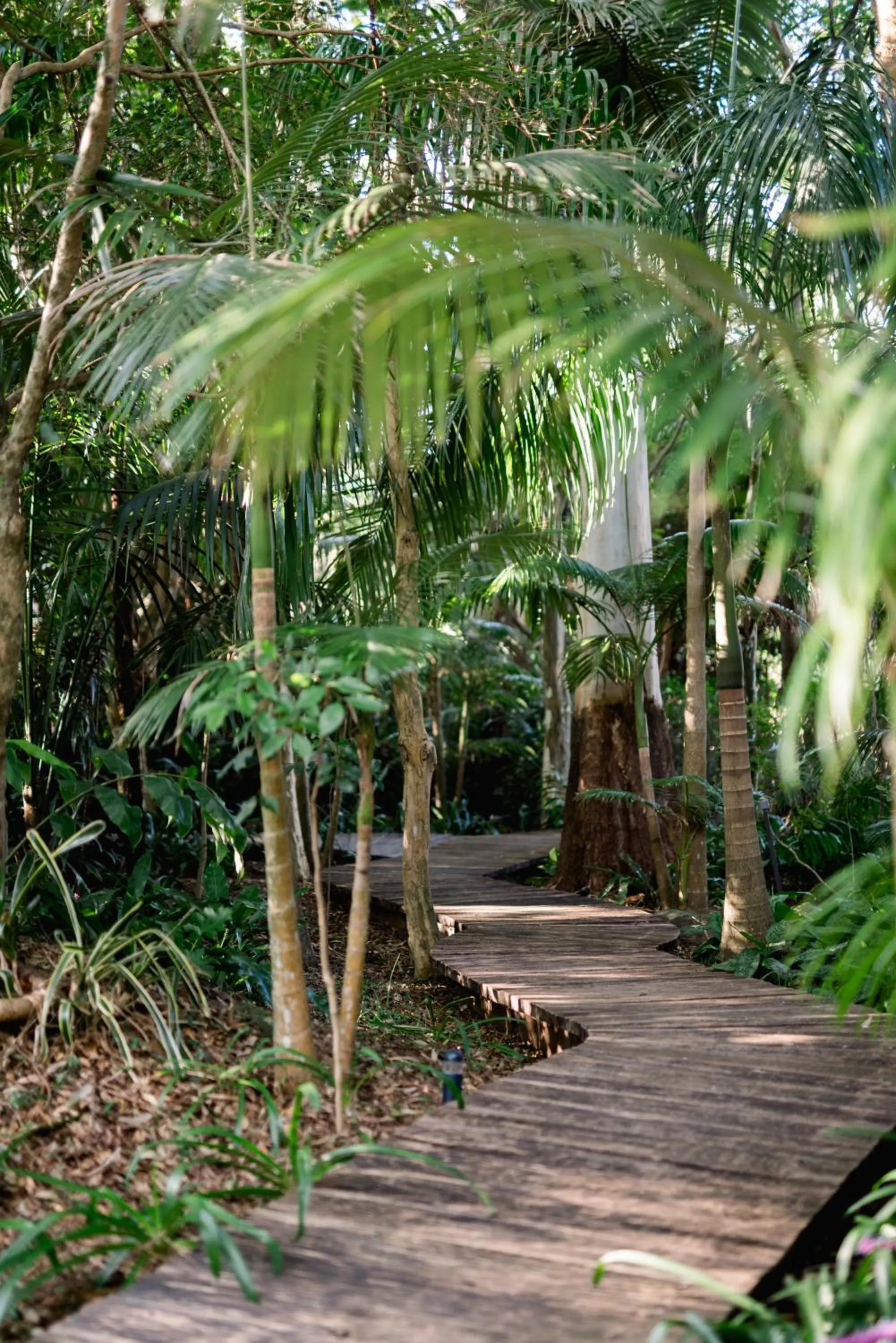 Garden in Shambala Estate Cottages