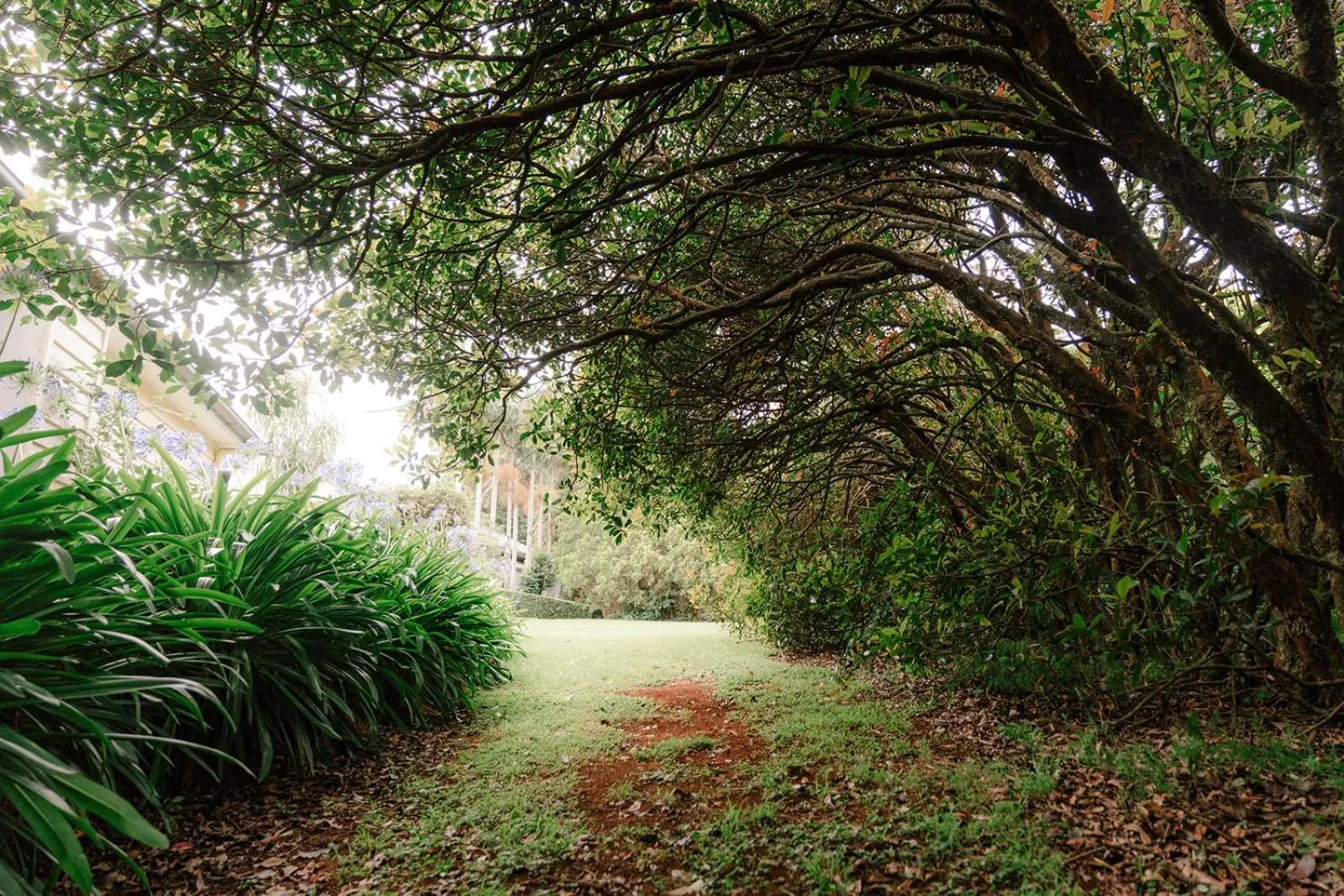 Shambala Estate Cottages