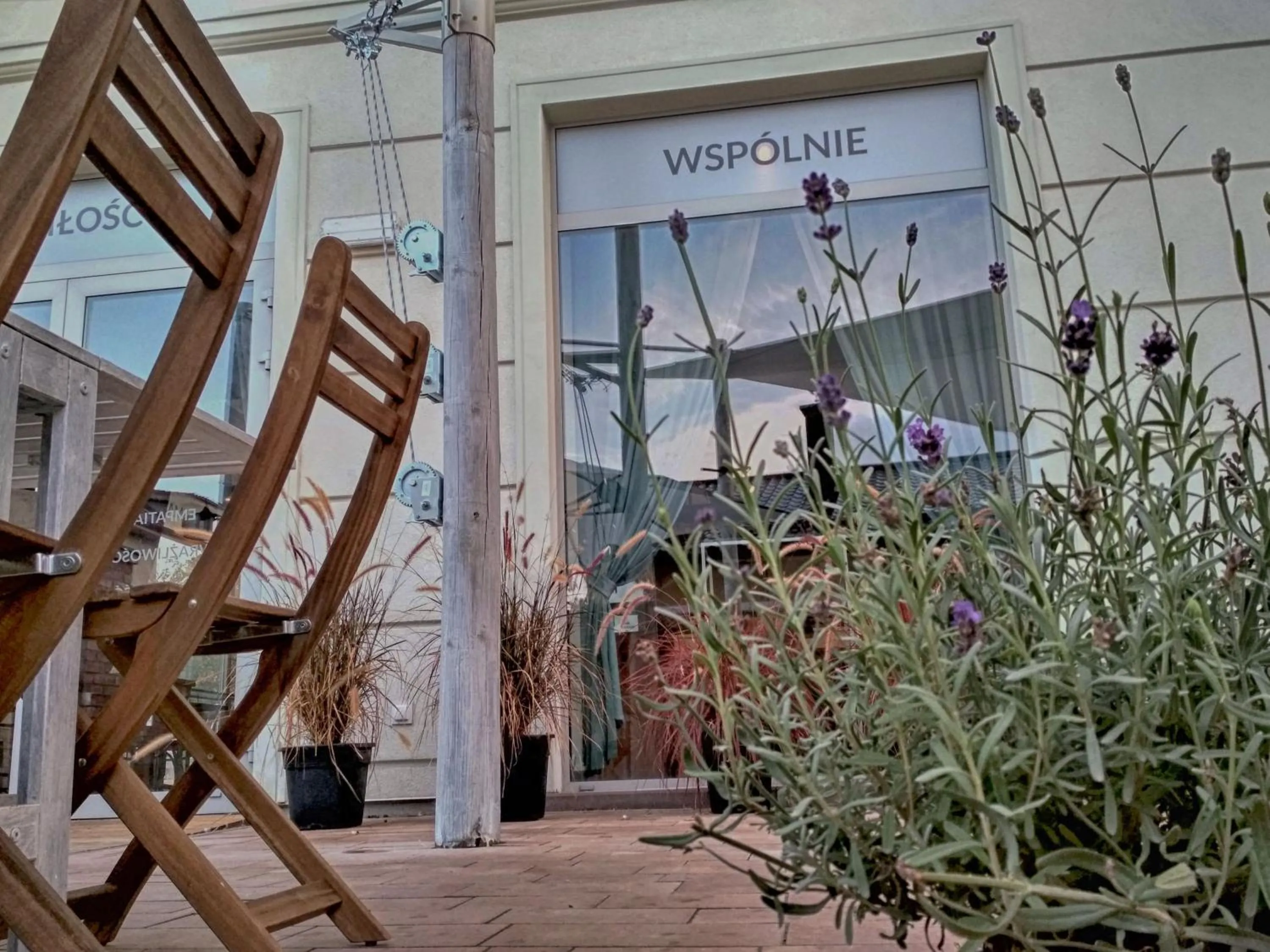 Garden in Ratusz B&B