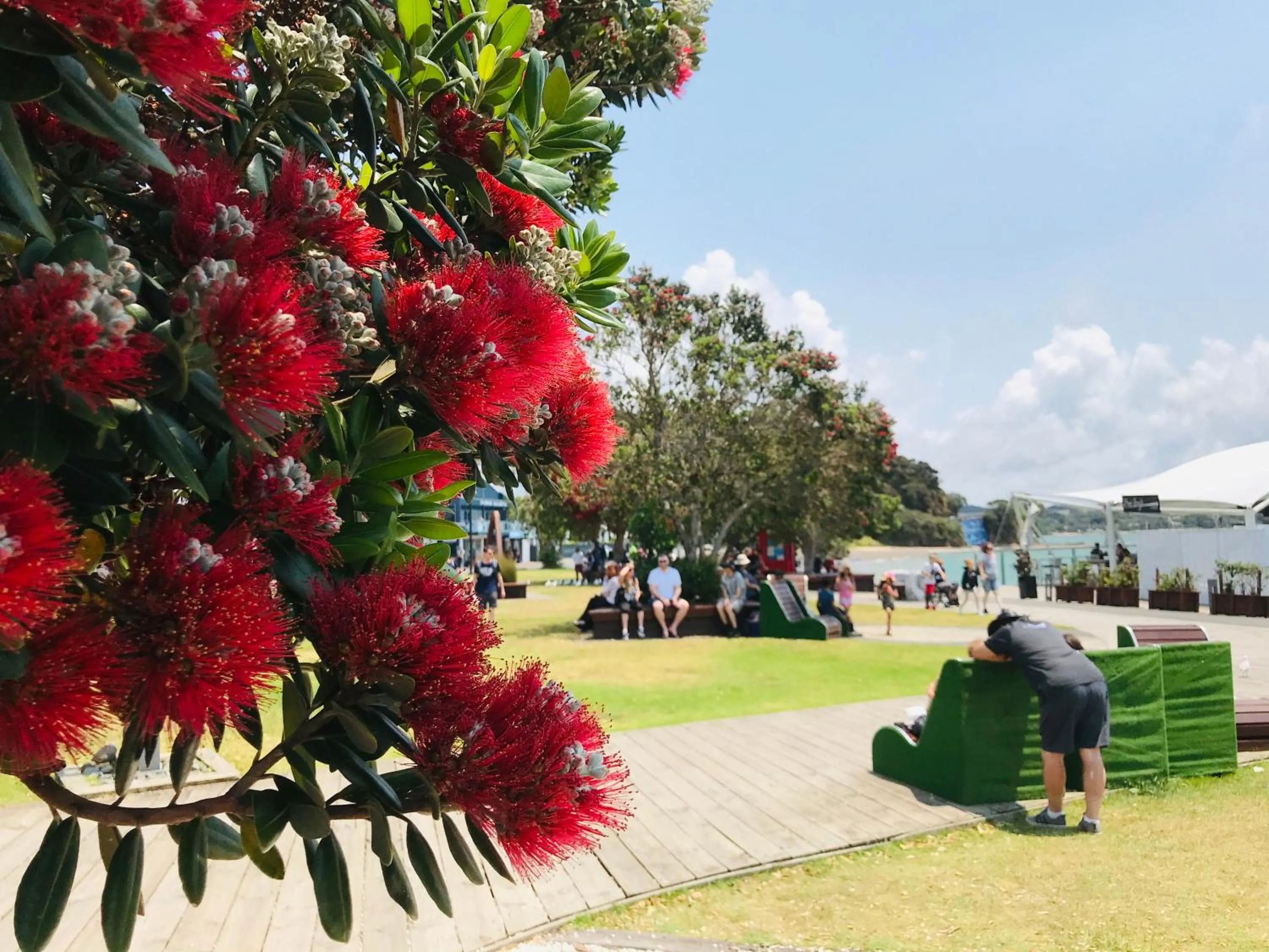 Neighbourhood in Bounty Motel