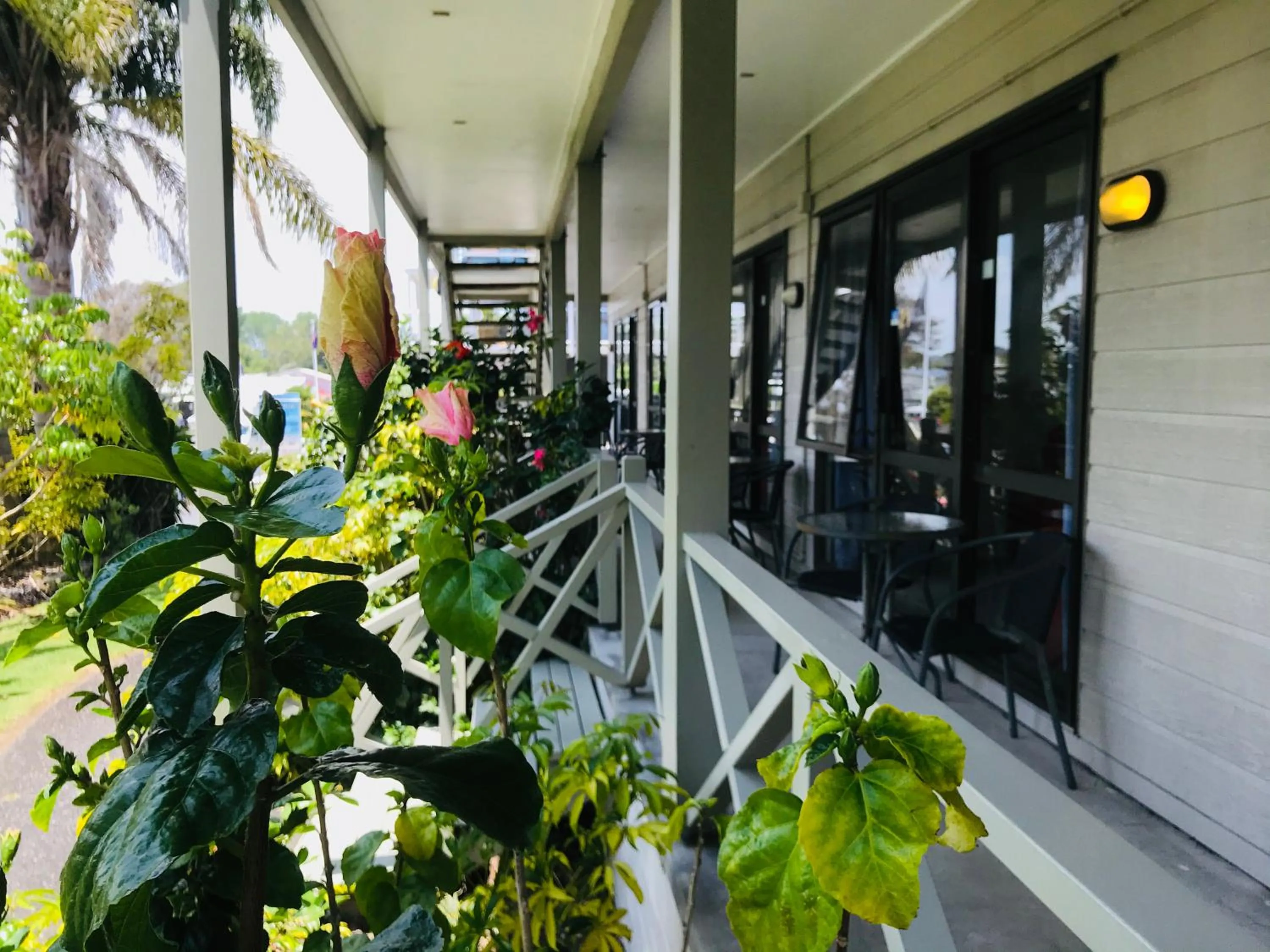 Balcony/Terrace in Bounty Motel