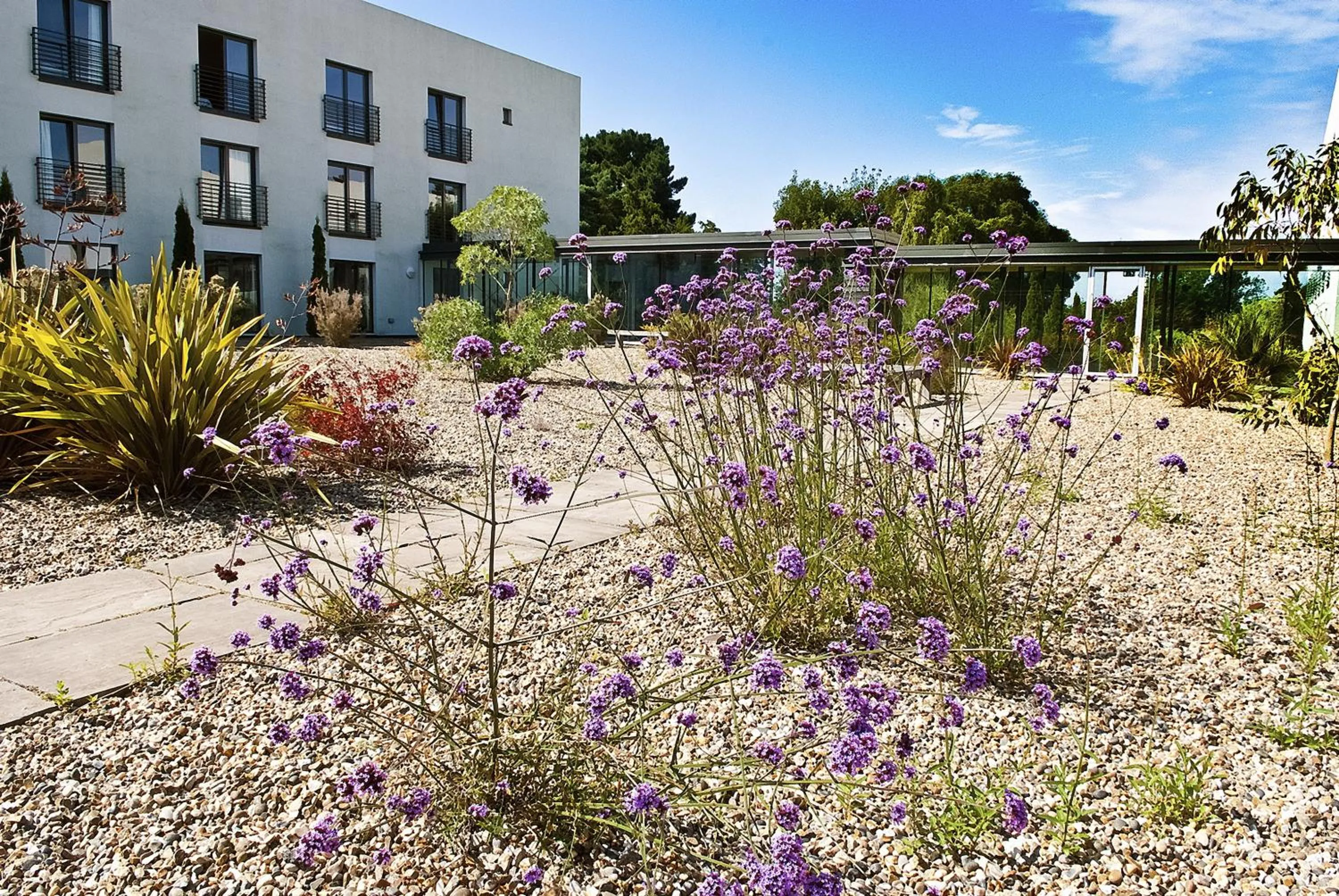 Property building in Lifehouse Spa And Hotel