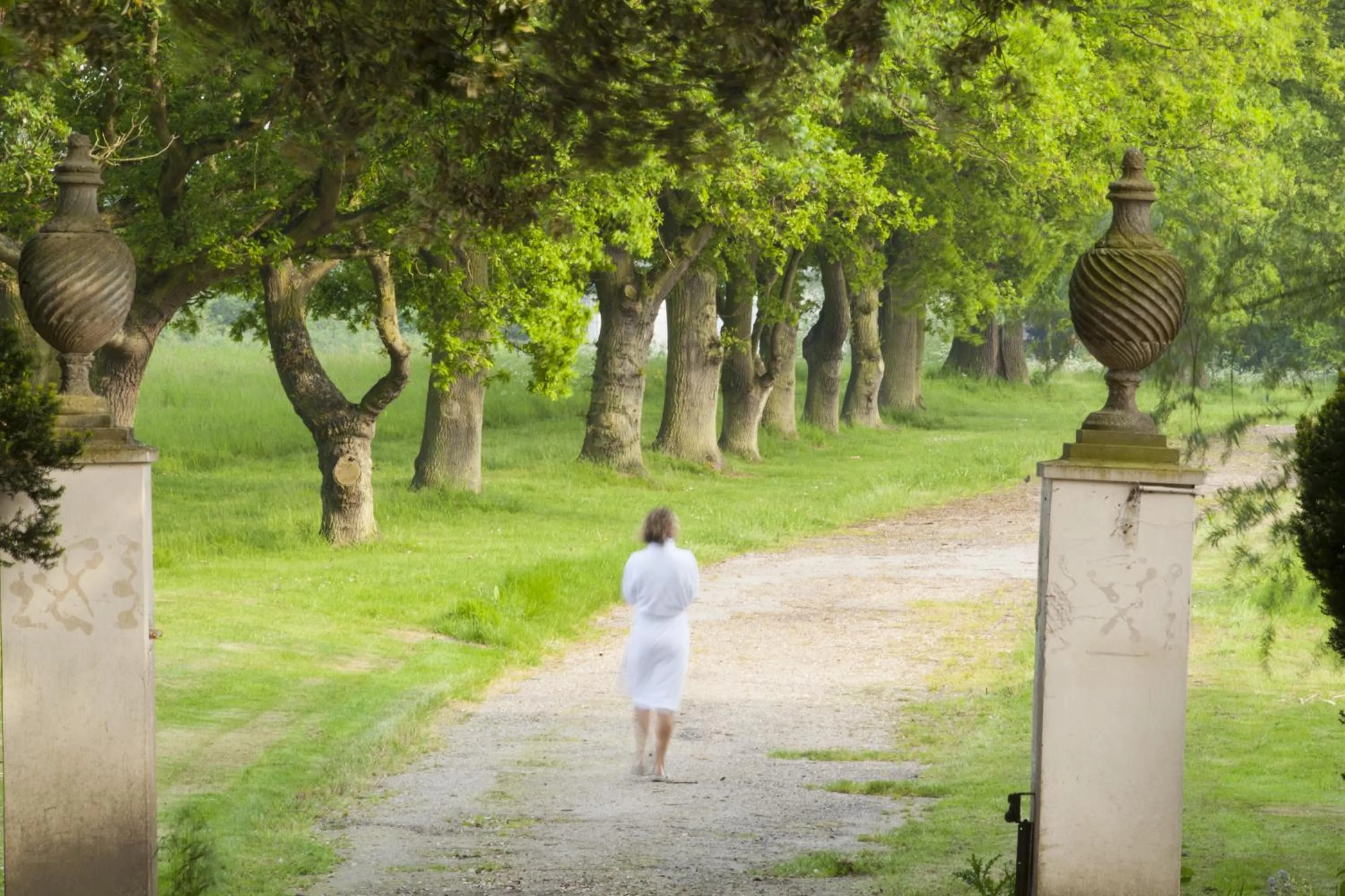 Garden in Lifehouse Spa And Hotel