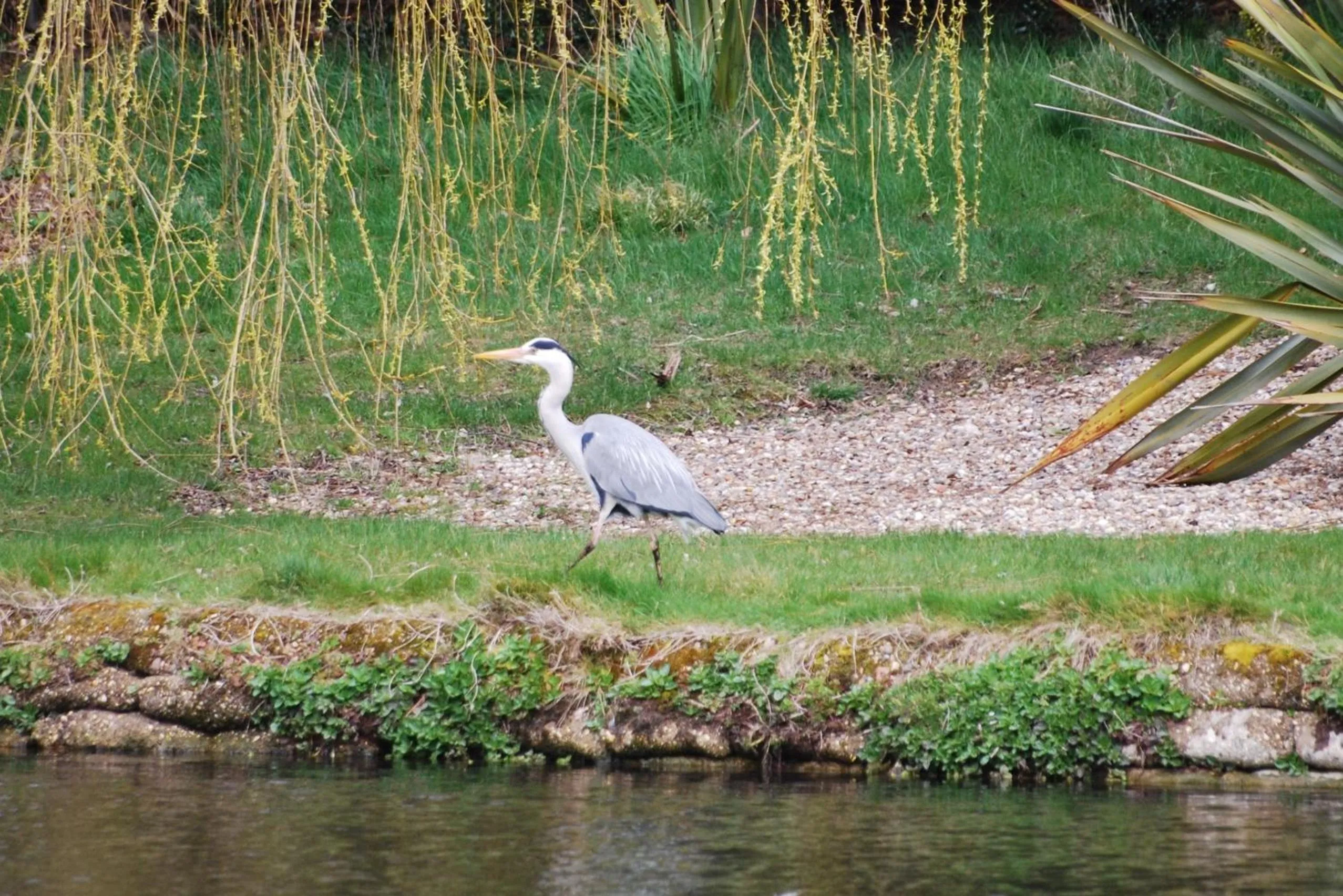 Spring in Lifehouse Spa And Hotel