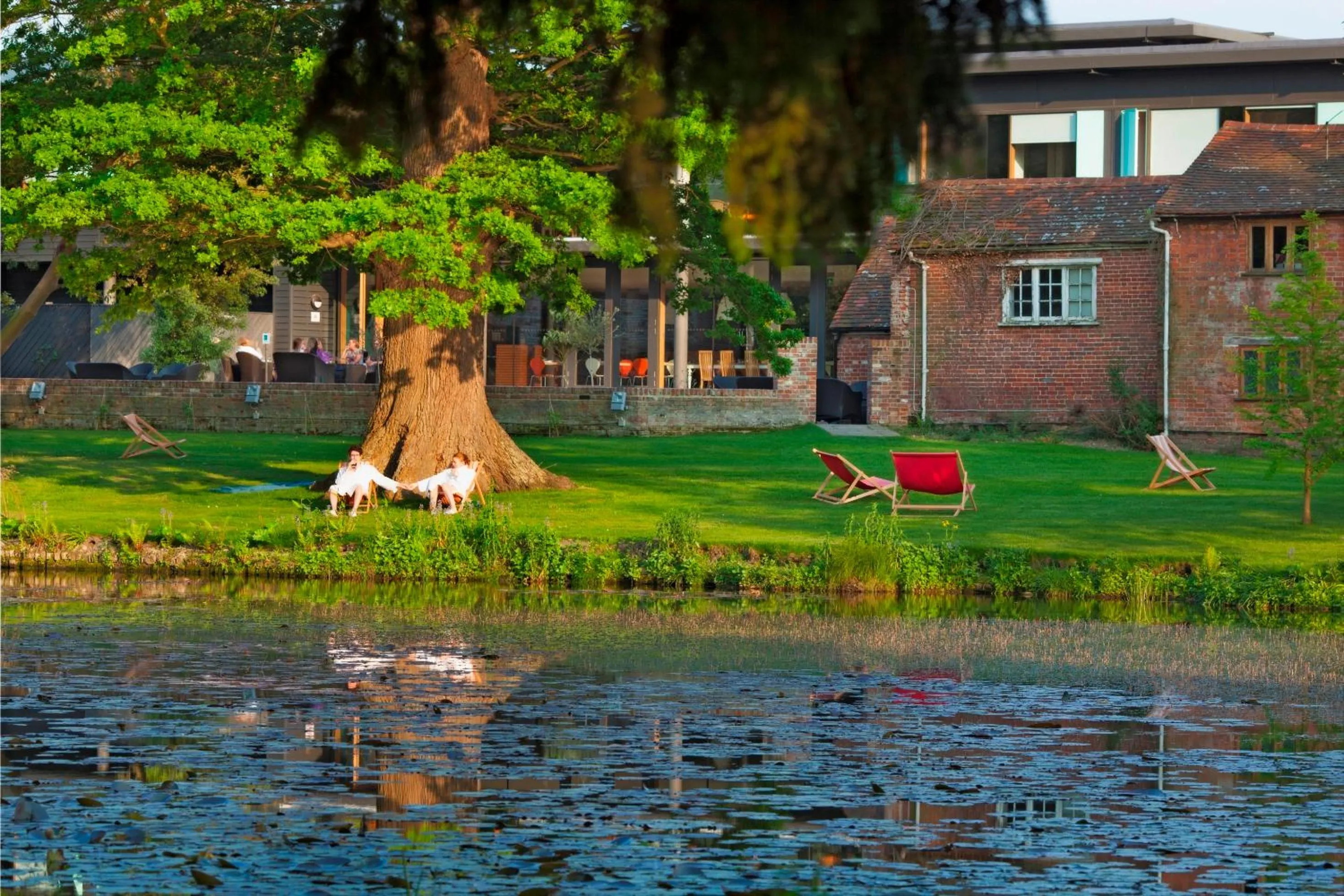 Garden in Lifehouse Spa And Hotel
