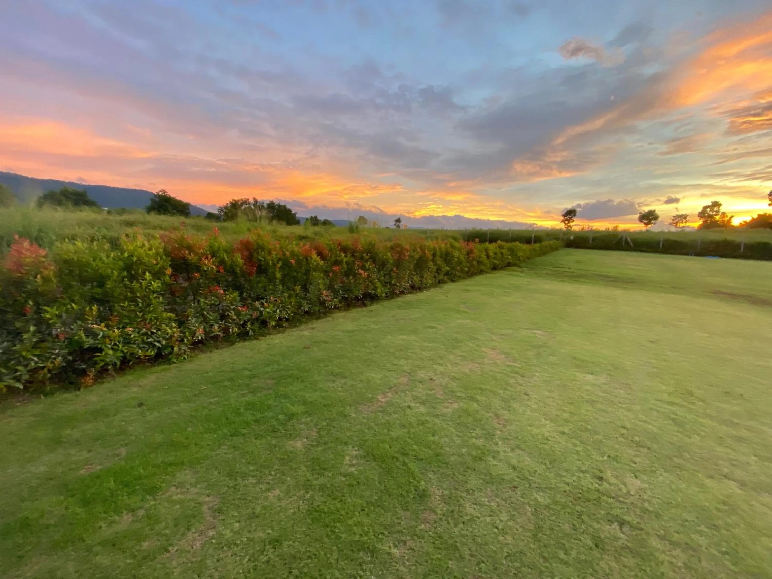 Garden view in Annie Villa at Khao Yai