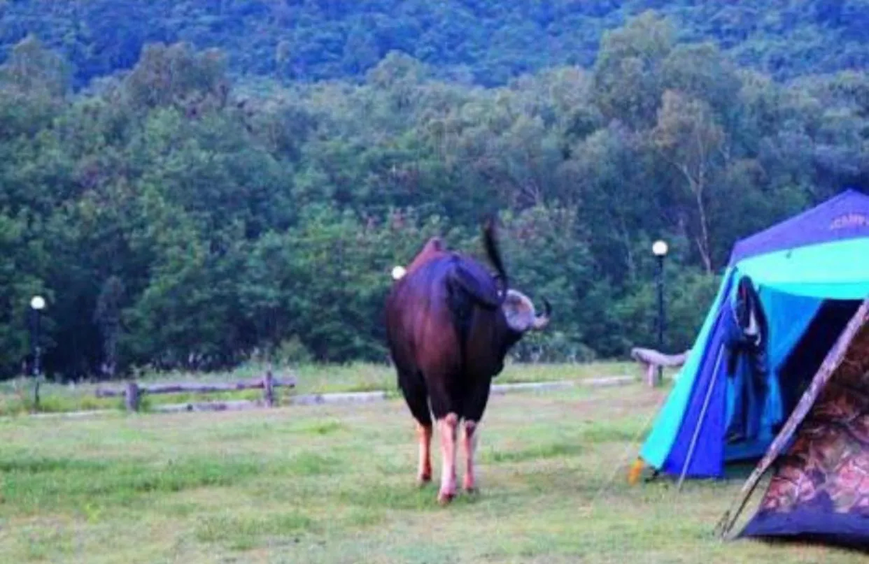Nearby landmark in Annie Villa at Khao Yai