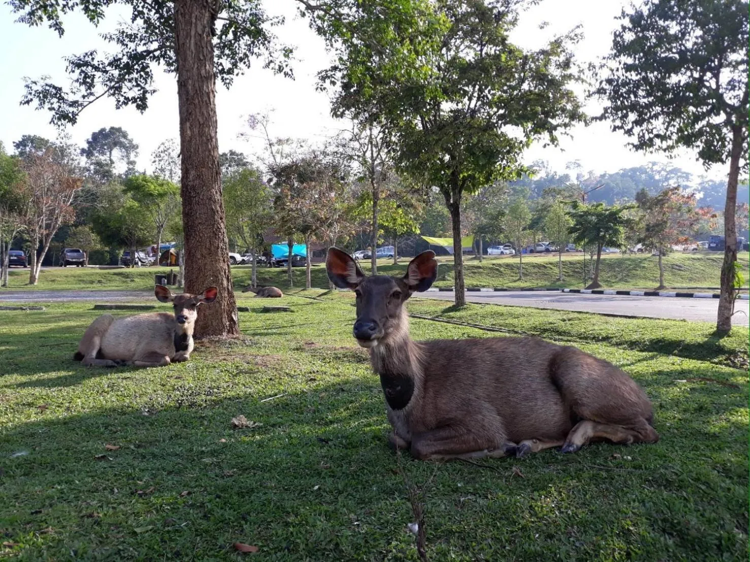 Nearby landmark in Annie Villa at Khao Yai