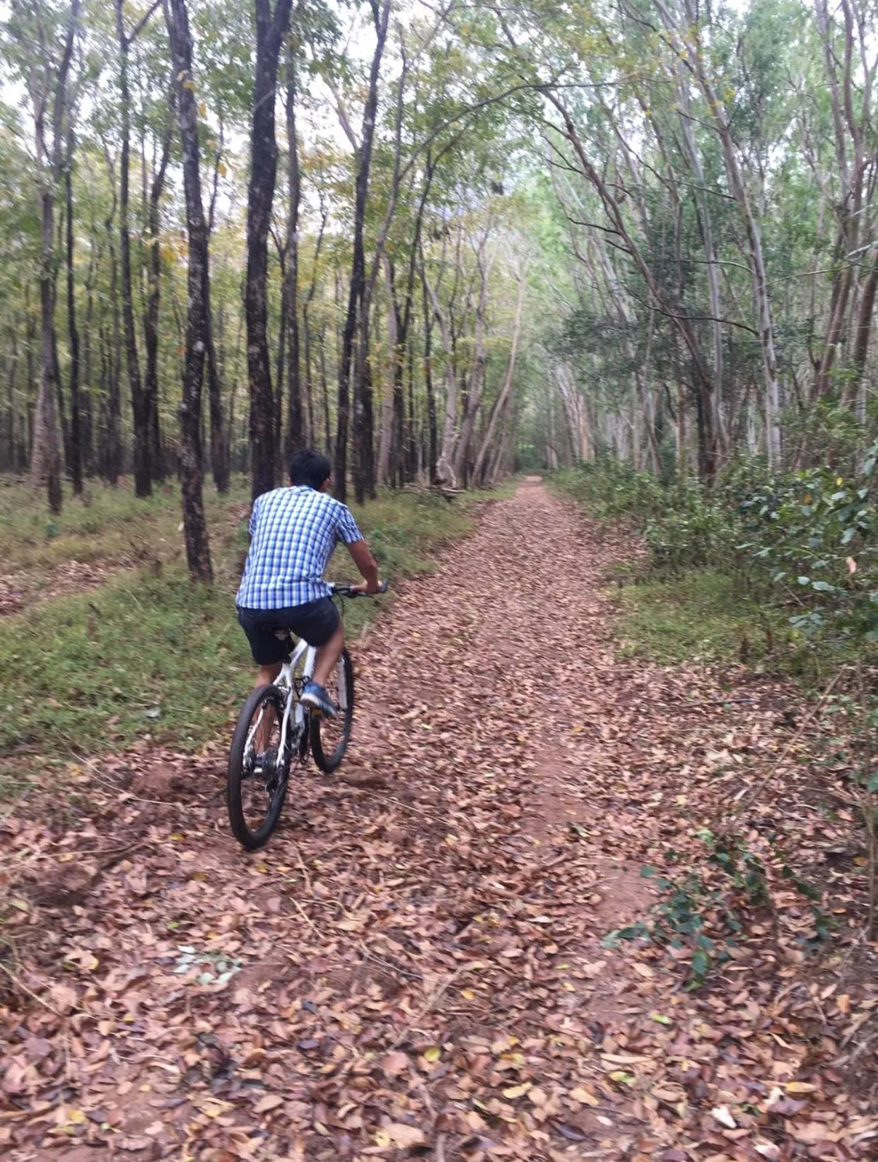 Nearby landmark in Annie Villa at Khao Yai