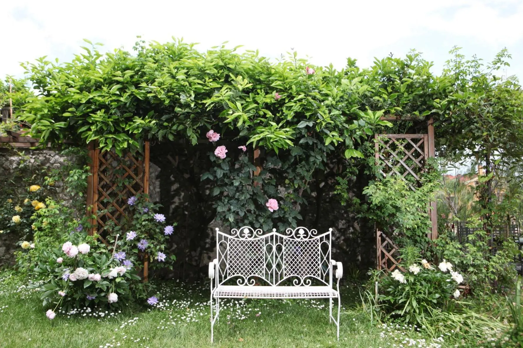 Garden in B&B Gattacicova