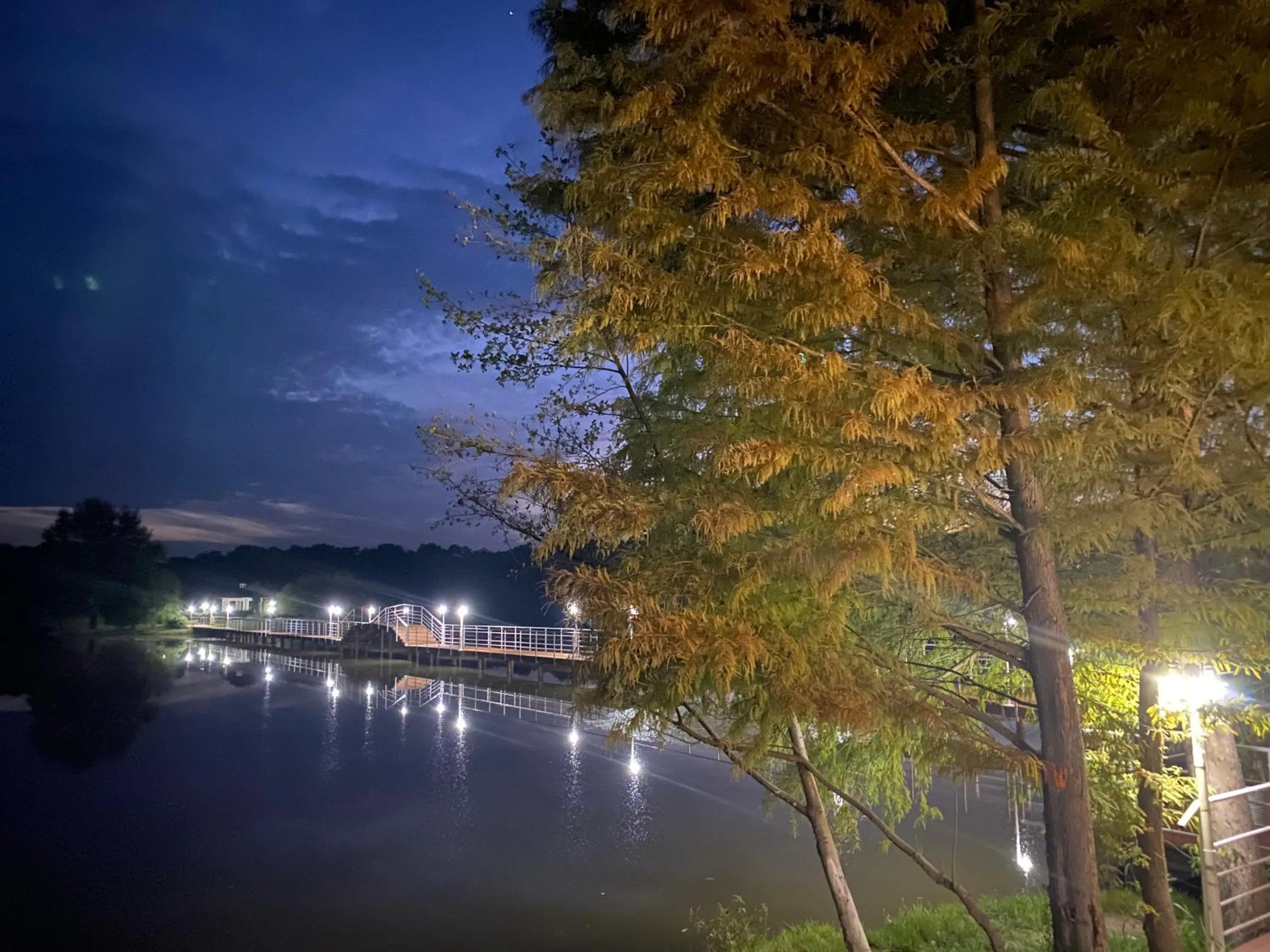 Night in Resort Plaza Lake