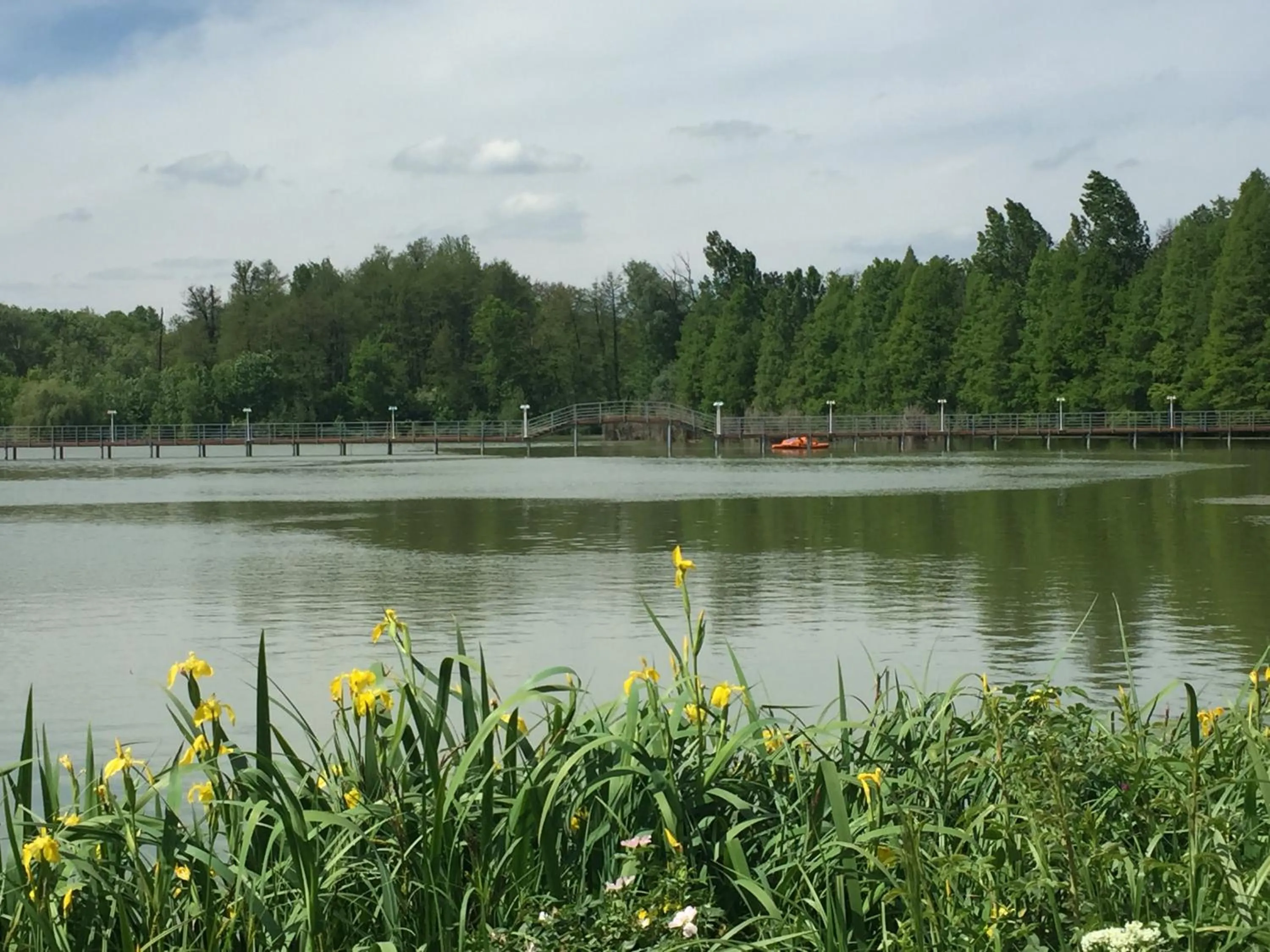 Natural landscape in Resort Plaza Lake