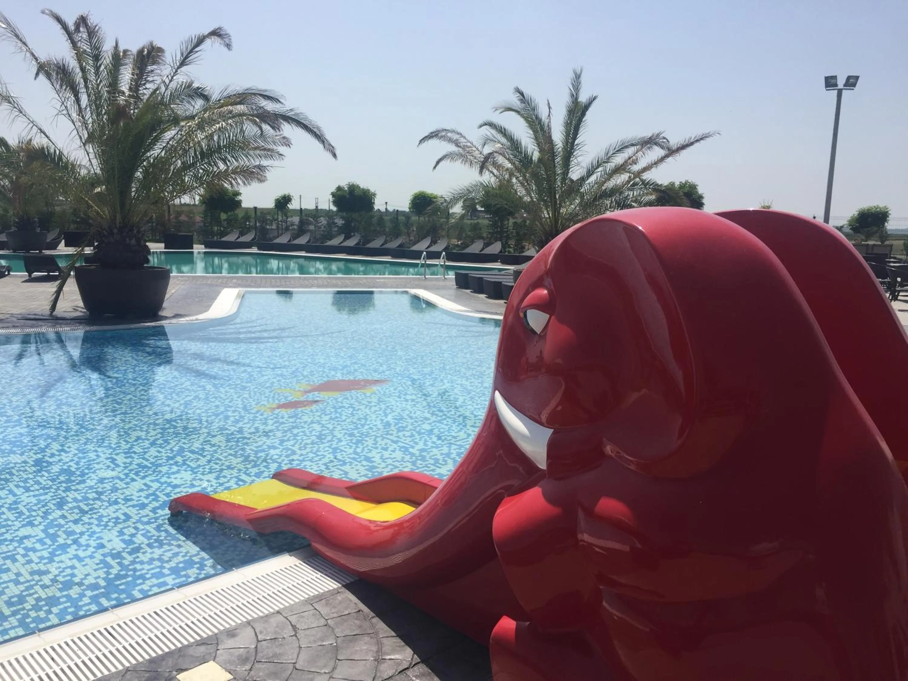 Swimming pool in Resort Plaza Lake