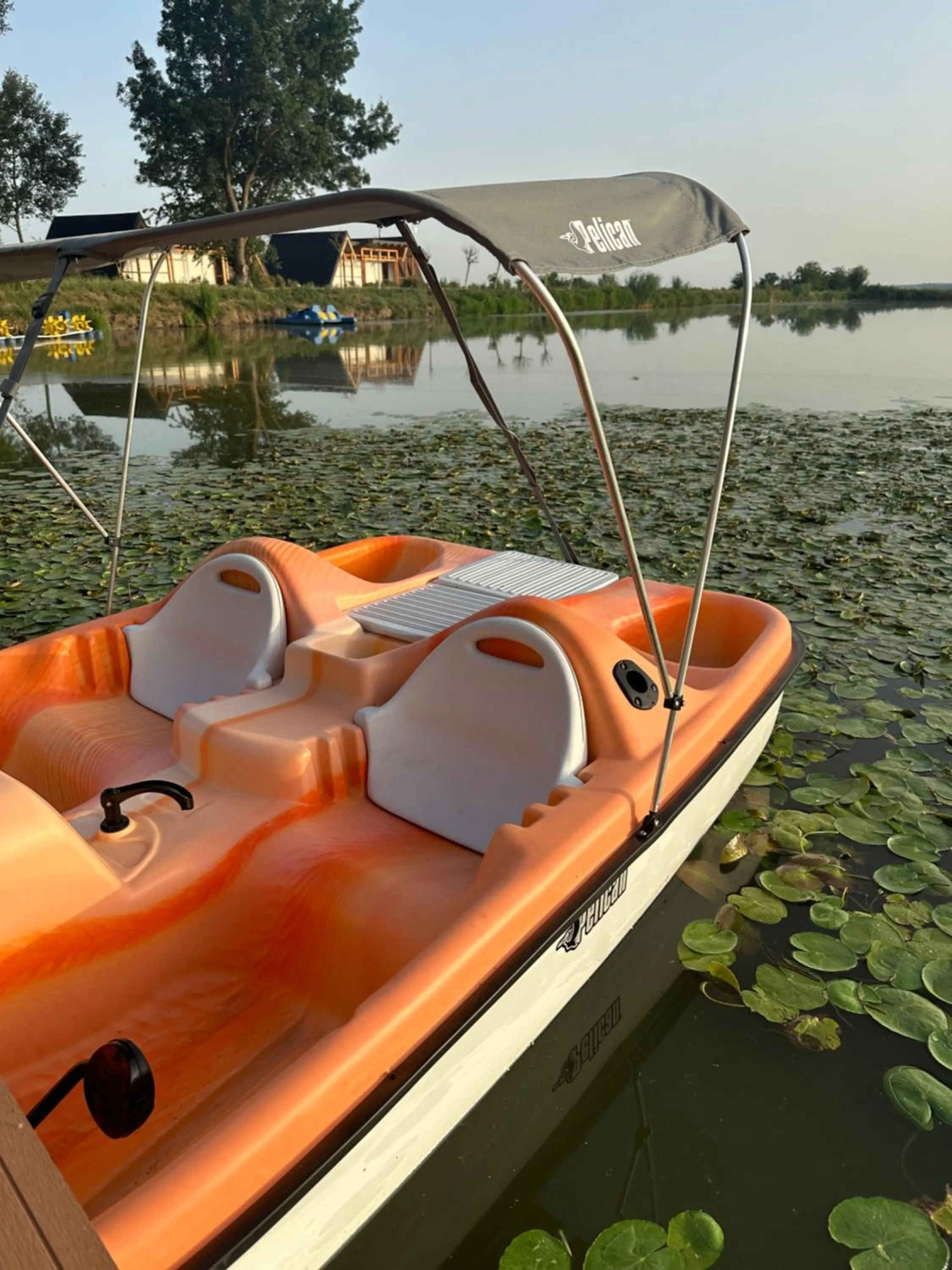 Natural landscape in Resort Plaza Lake