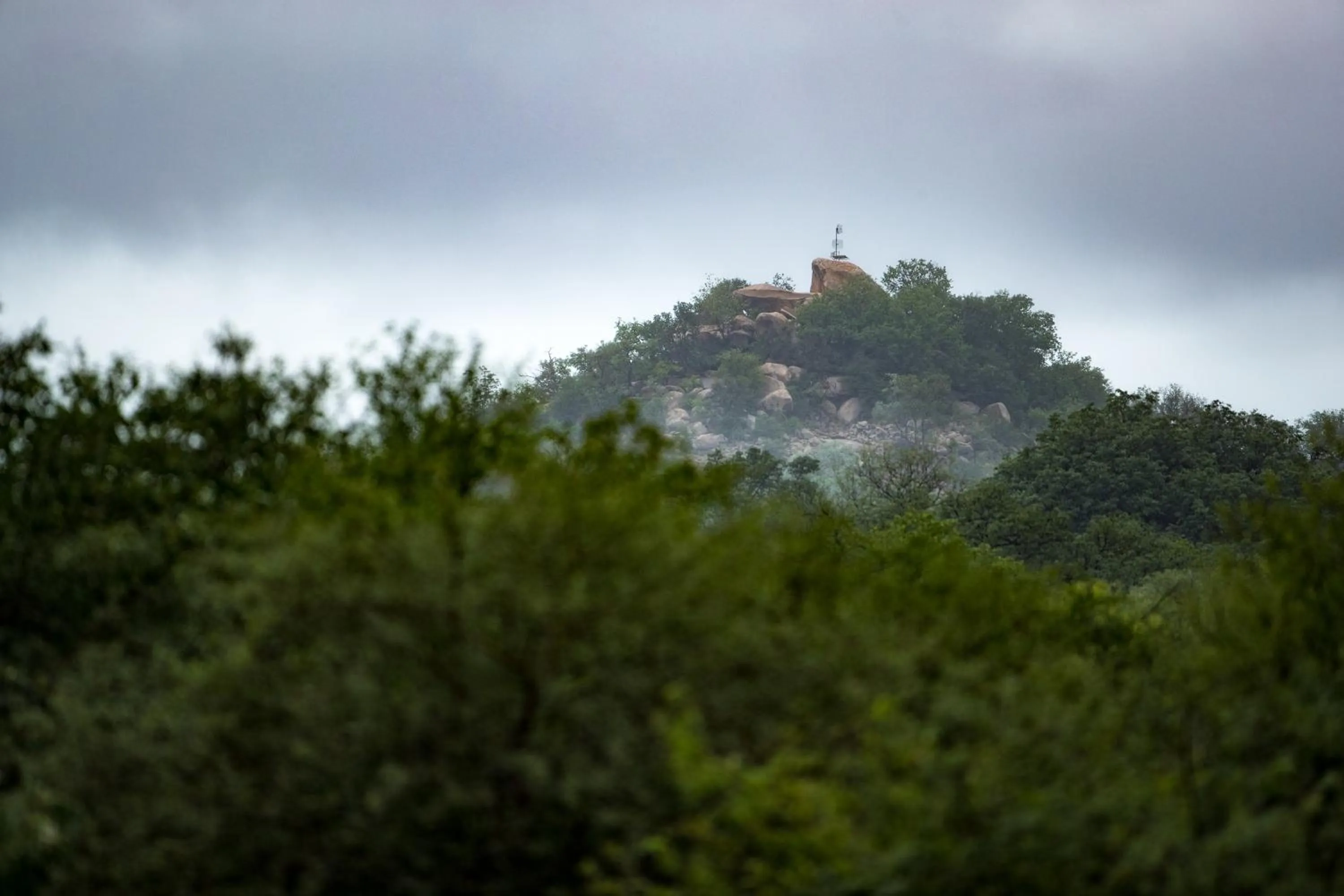 Garden view in Cottage Lenise