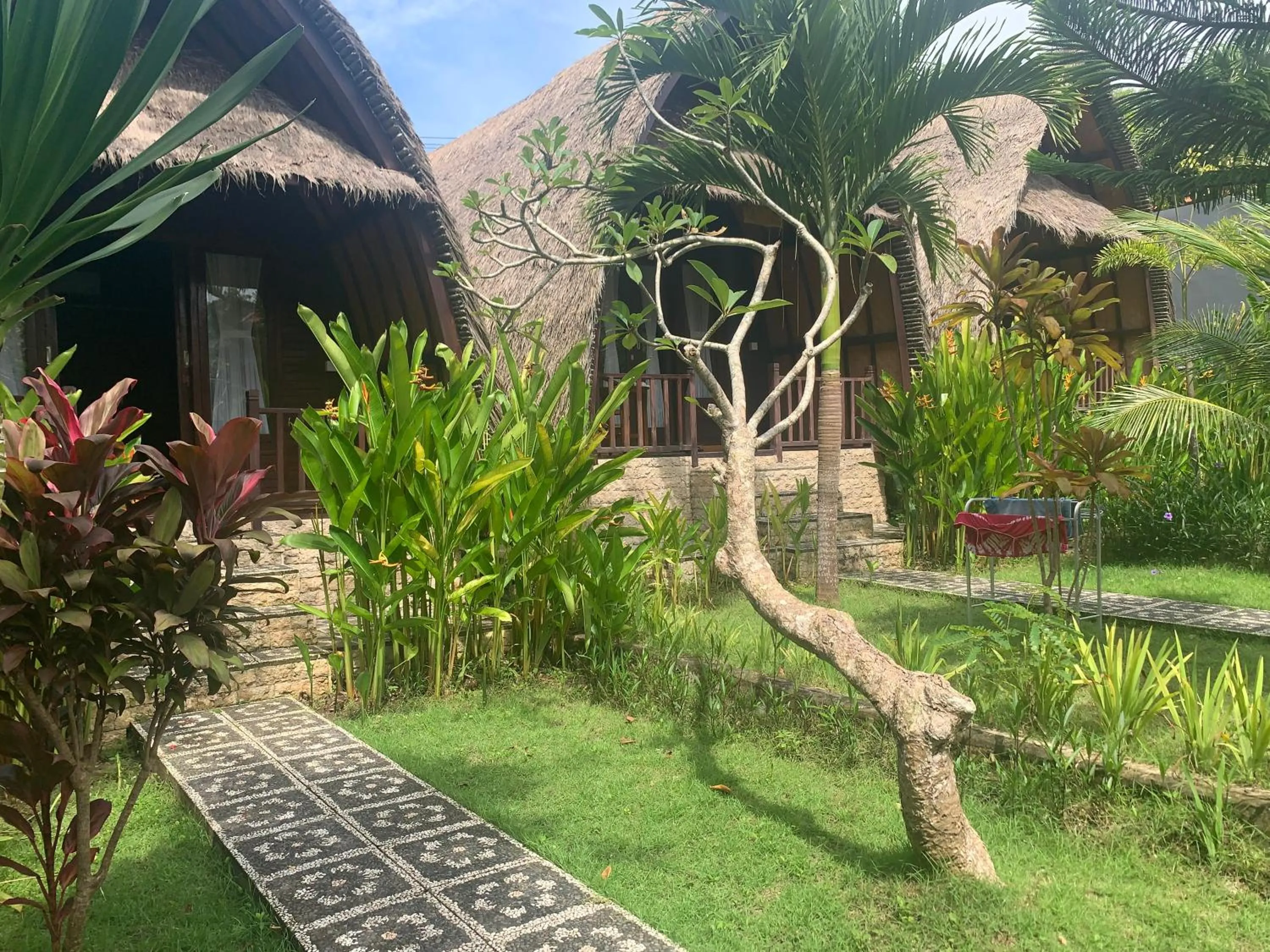 Garden in Jona Bungalow