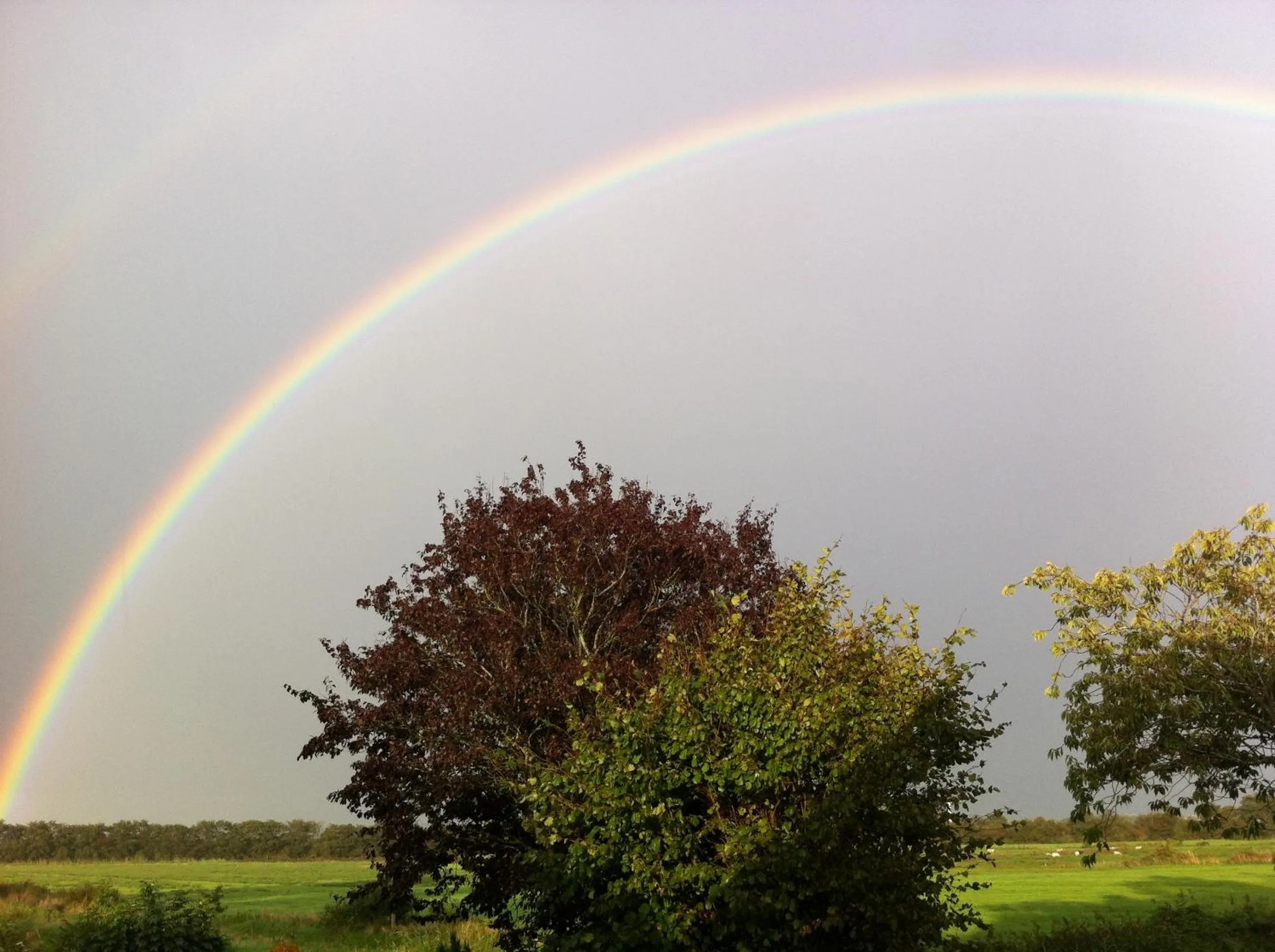 Garden in Inselhotel Arfsten