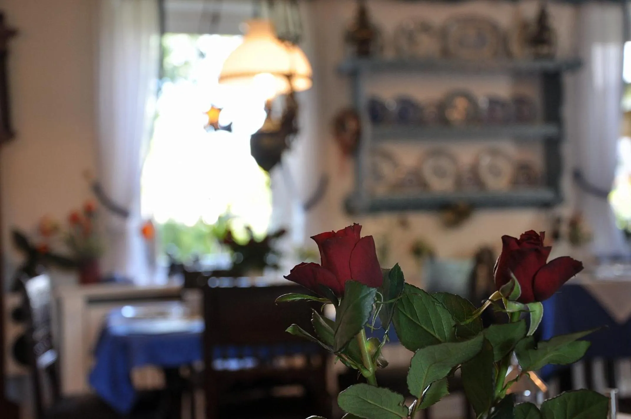 Other in Inselhotel Arfsten