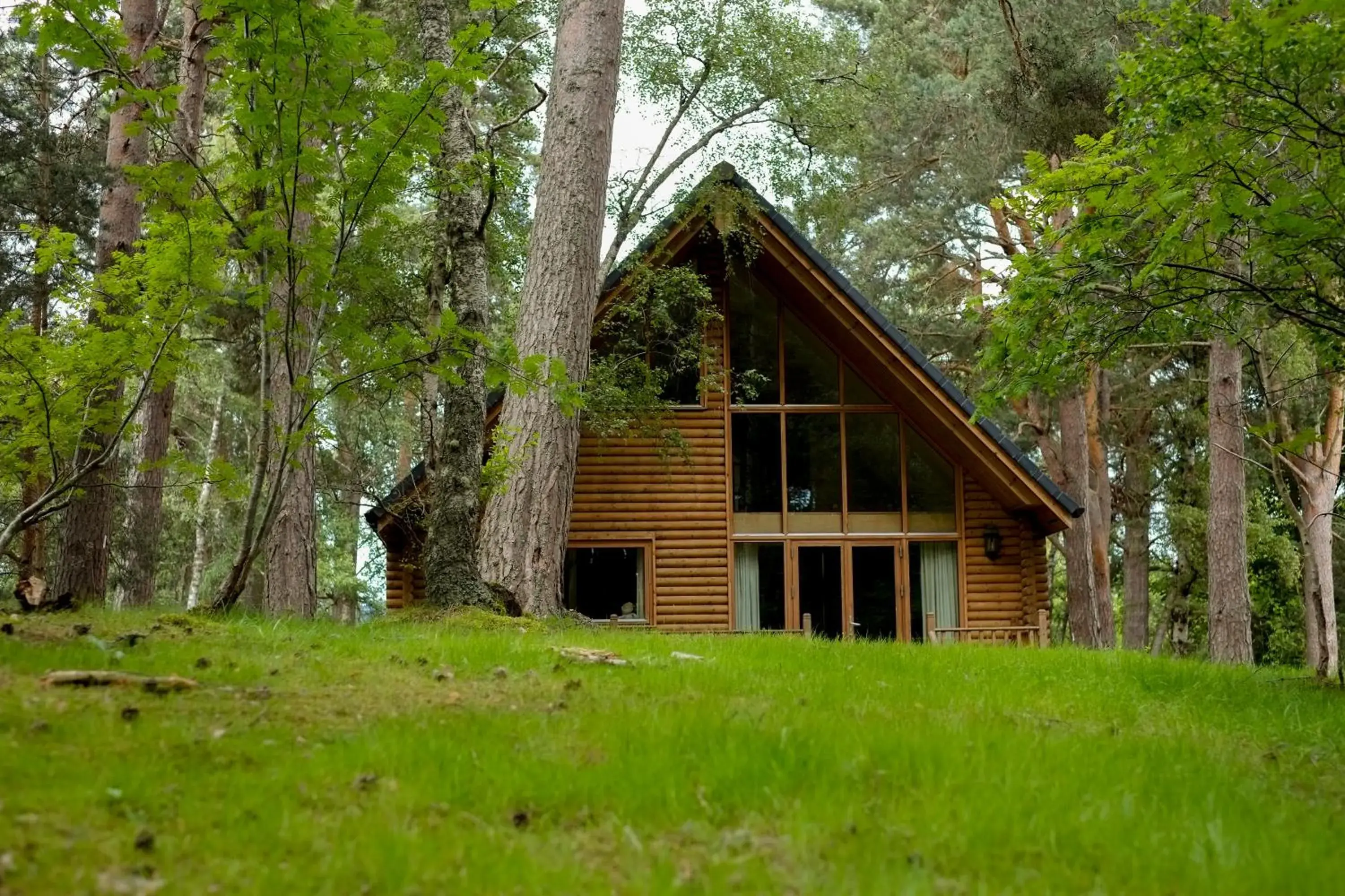 Macdonald Woodland Lodges at Macdonald Aviemore Resort Macdonald Woodland Lodges at Macdonald Aviemore Resort