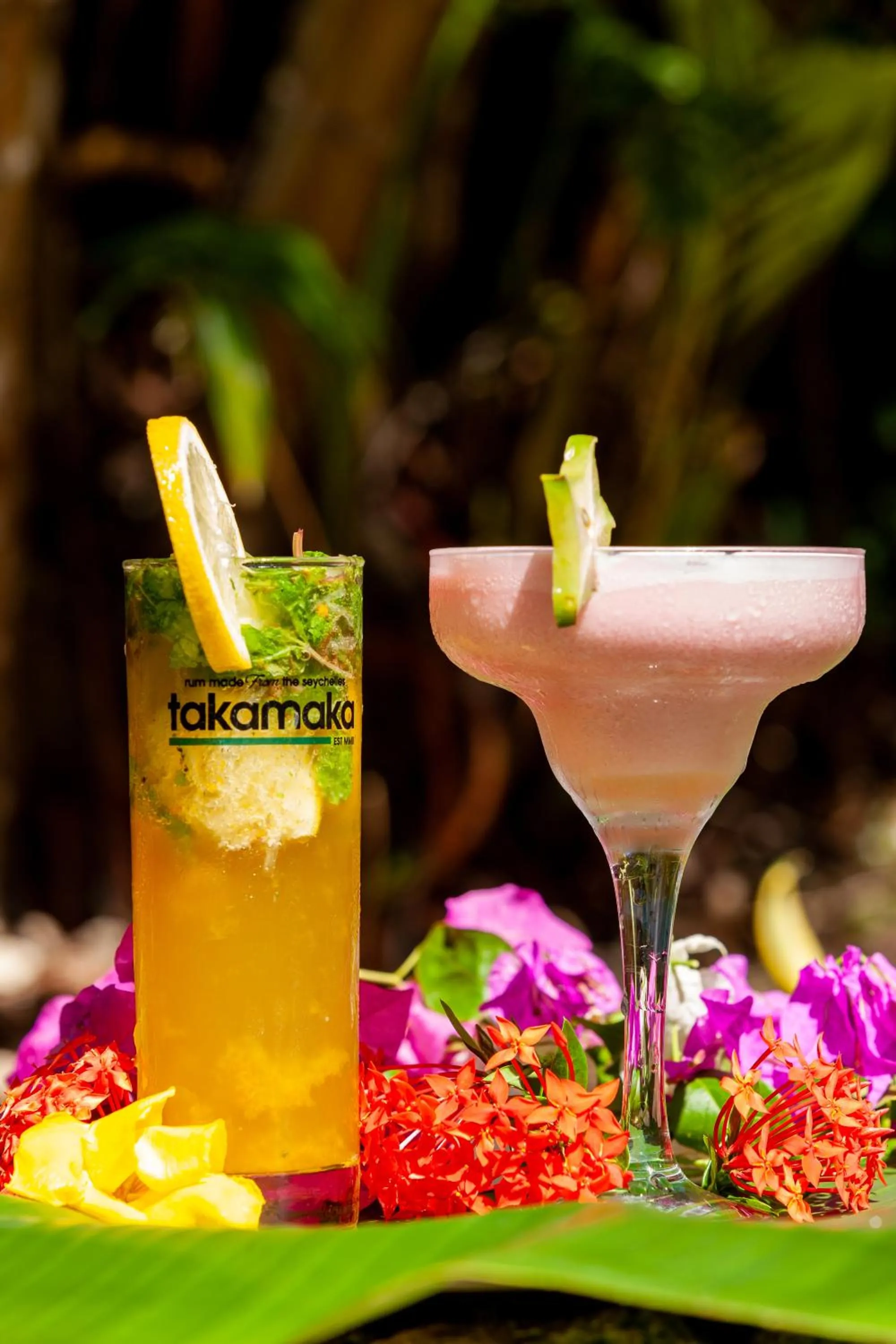 Food and drinks in Colibri Hotel