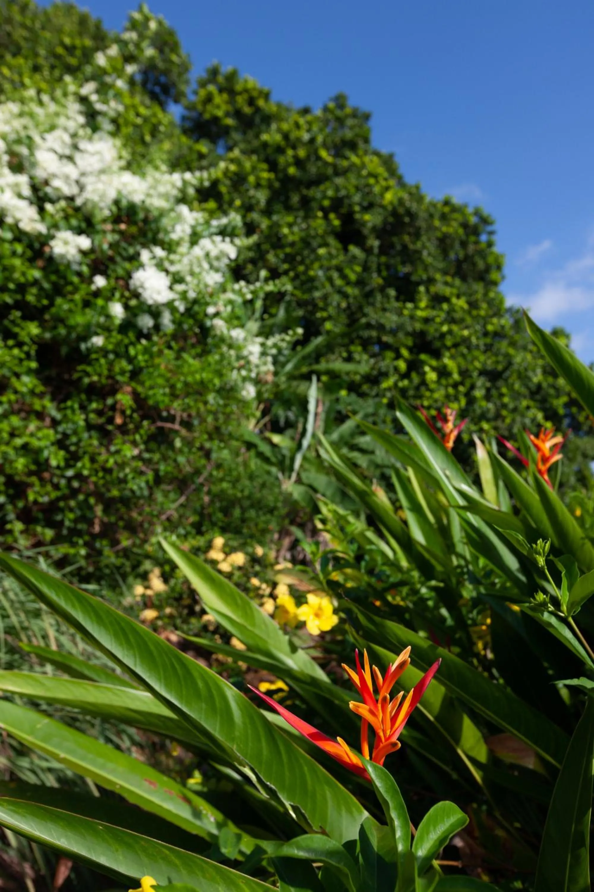 Day in Colibri Hotel