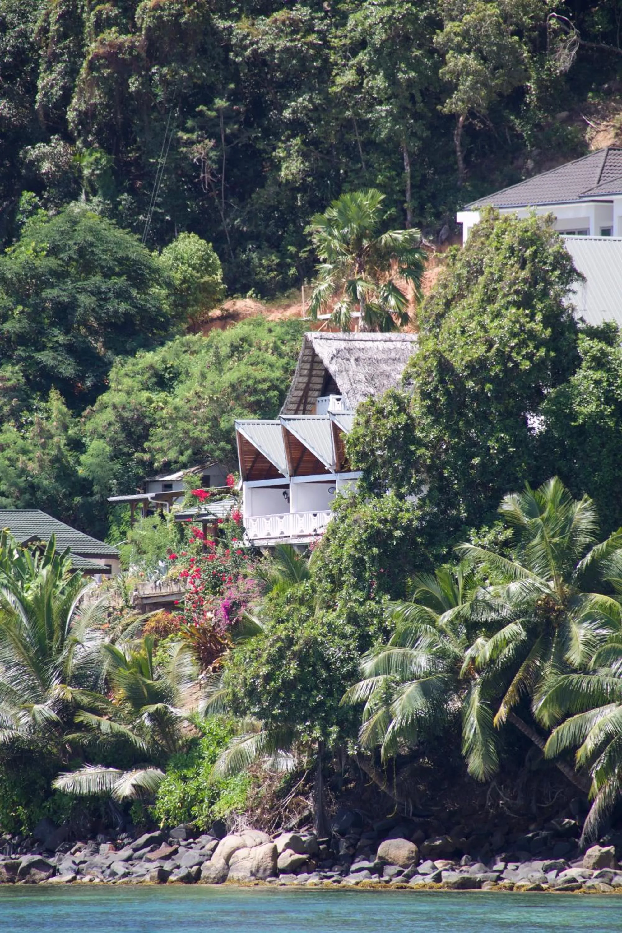 Balcony/Terrace in Colibri Hotel